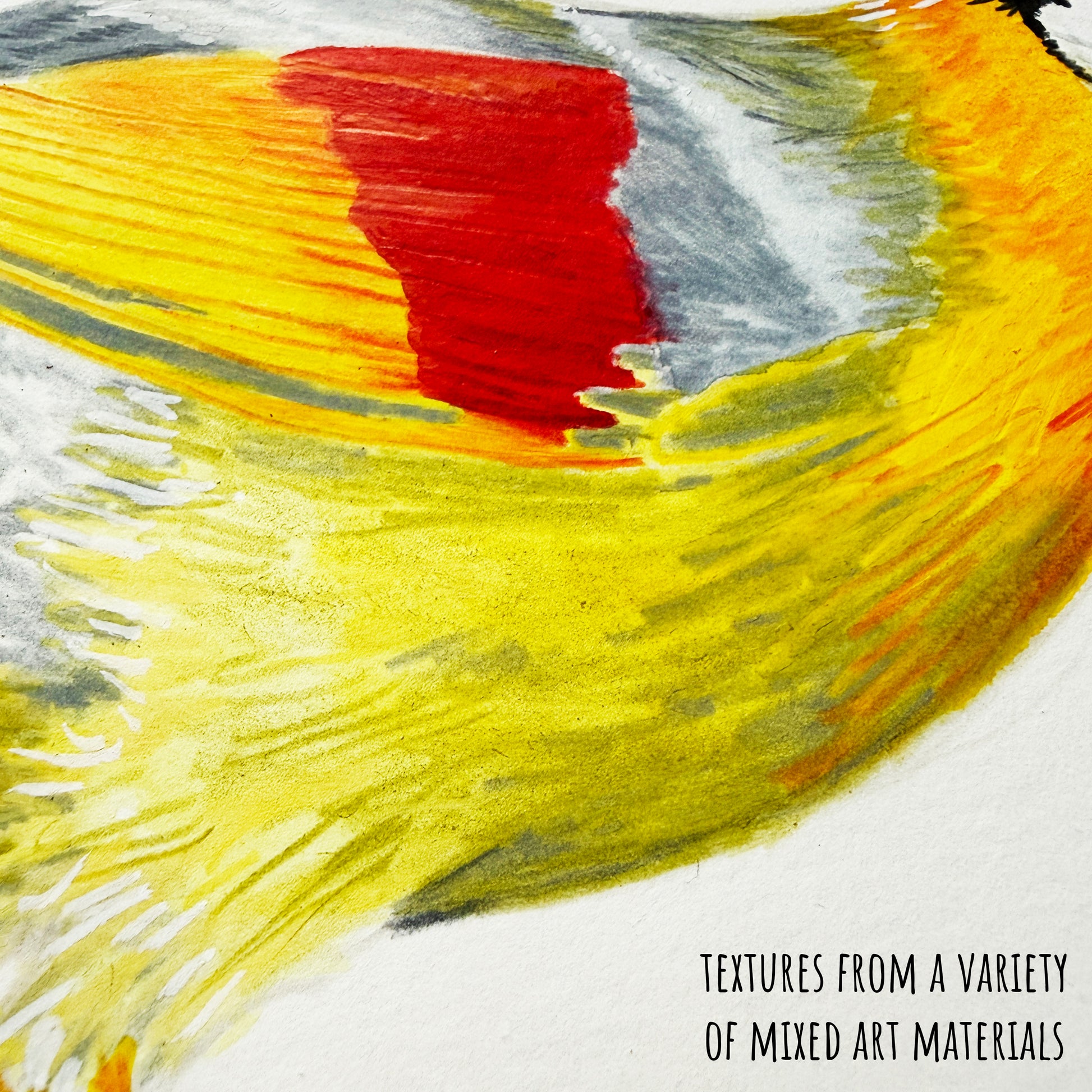 A close up  of the Sliver Eared Mesia bird original painting showing the details and textures of the art materials used and the paper stock. 