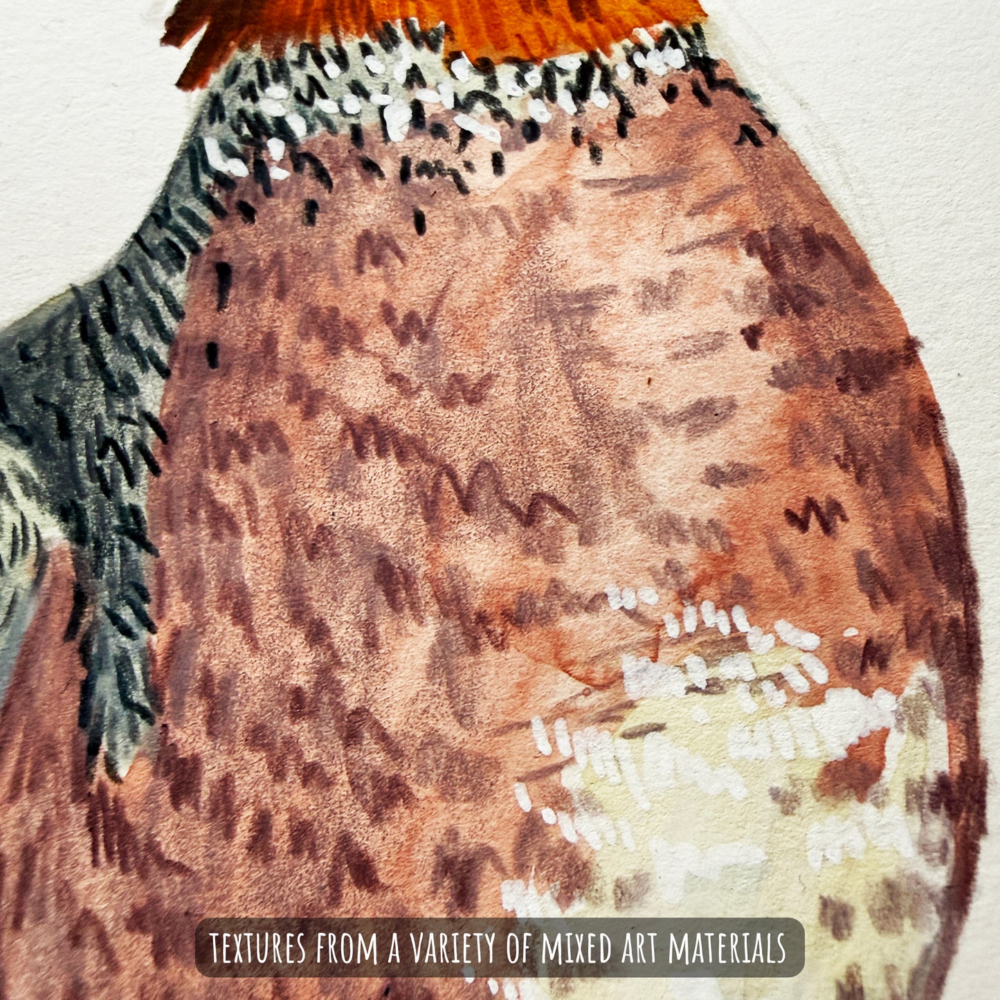 A close up section of the Wigeon Duck artwork showing the textures and details of the artwork and paper stock.