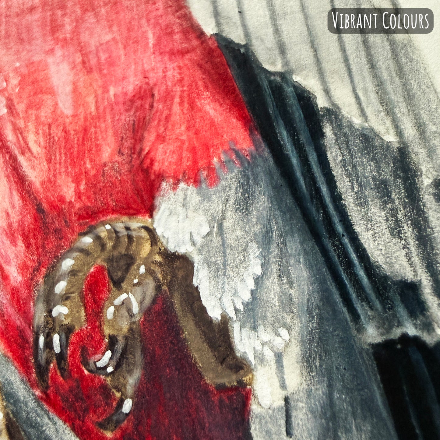 A close of the Galah cockatoo bird showing the details and textures of the artwork and paper stock.