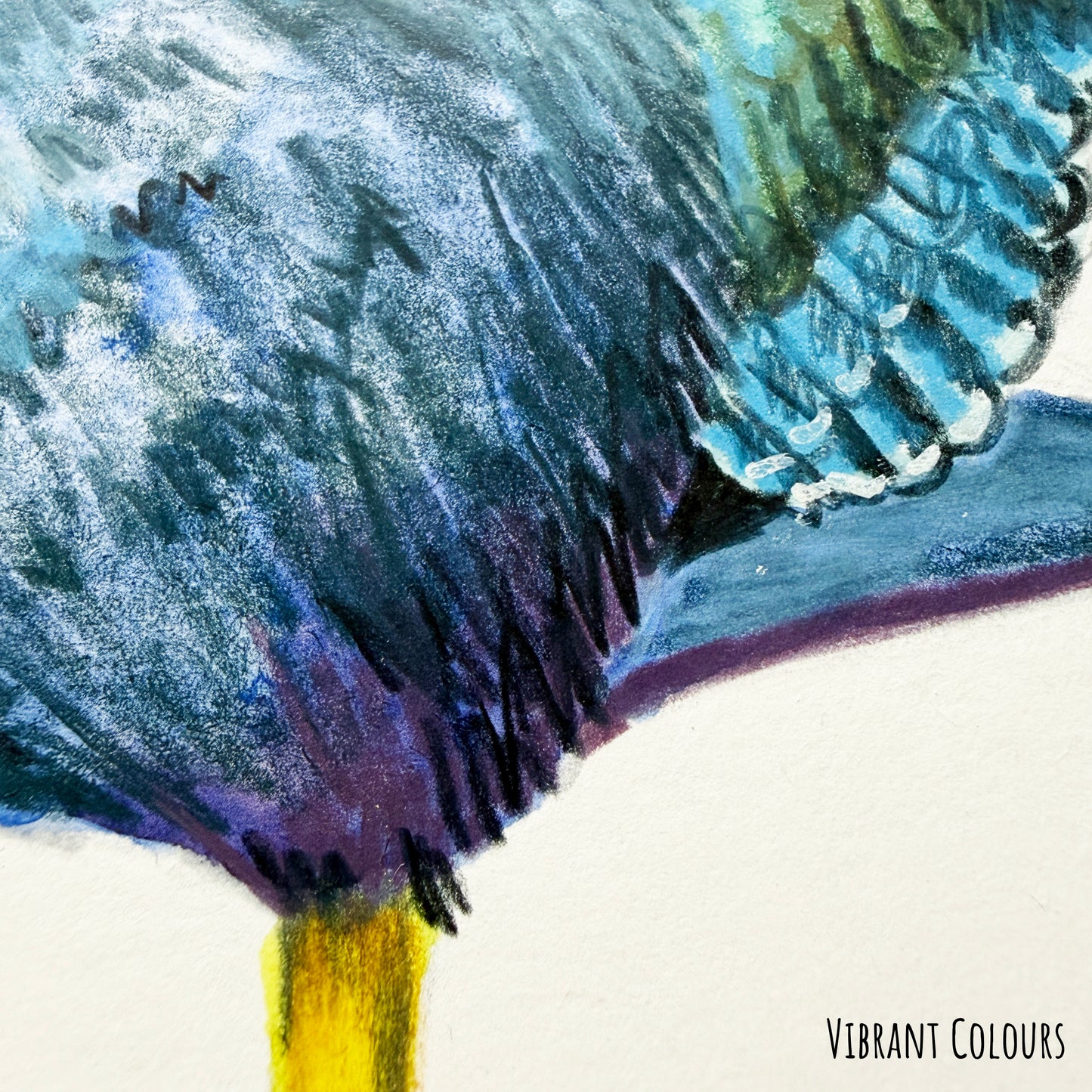 A close up of the the American Purple Gallinule bird artwork. showing the details and textures of the painting.