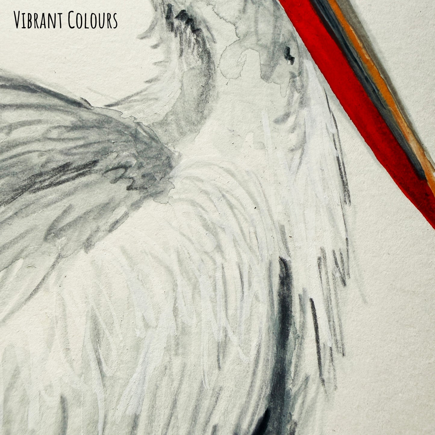 A close of the Dalmatian Pelican bird showing the details and textures of the artwork and paper stock.