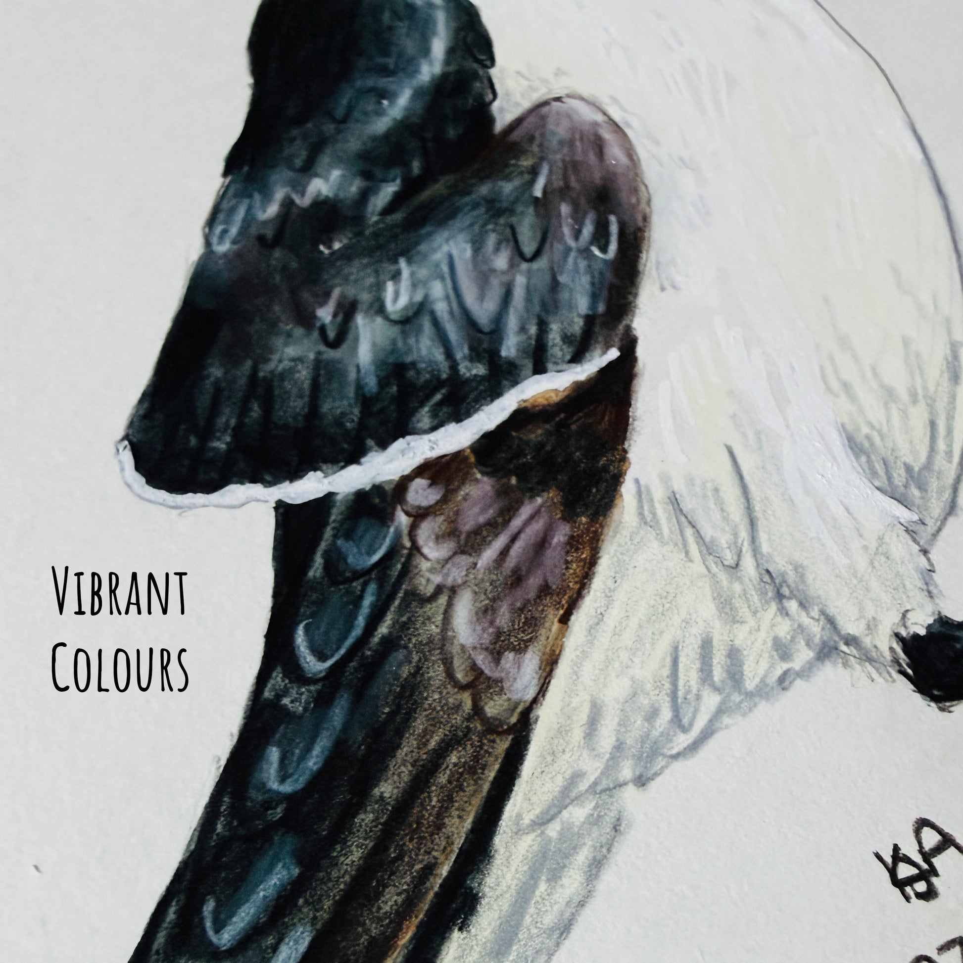 Artistic depiction of a Razorbill bird with vibrant colours on a light background