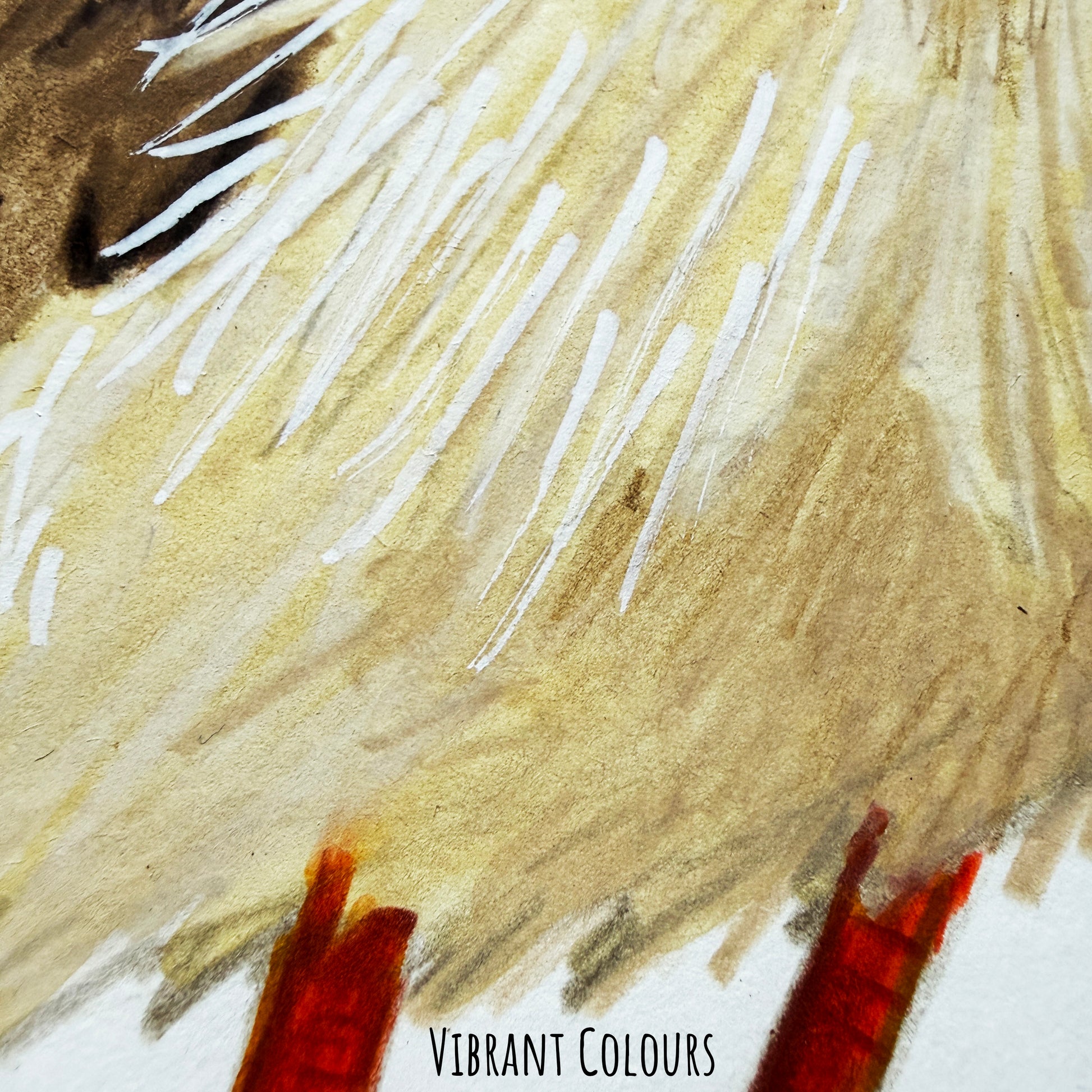 A close of the Red-Legged Seriema bird showing the details and textures of the artwork and paper stock.