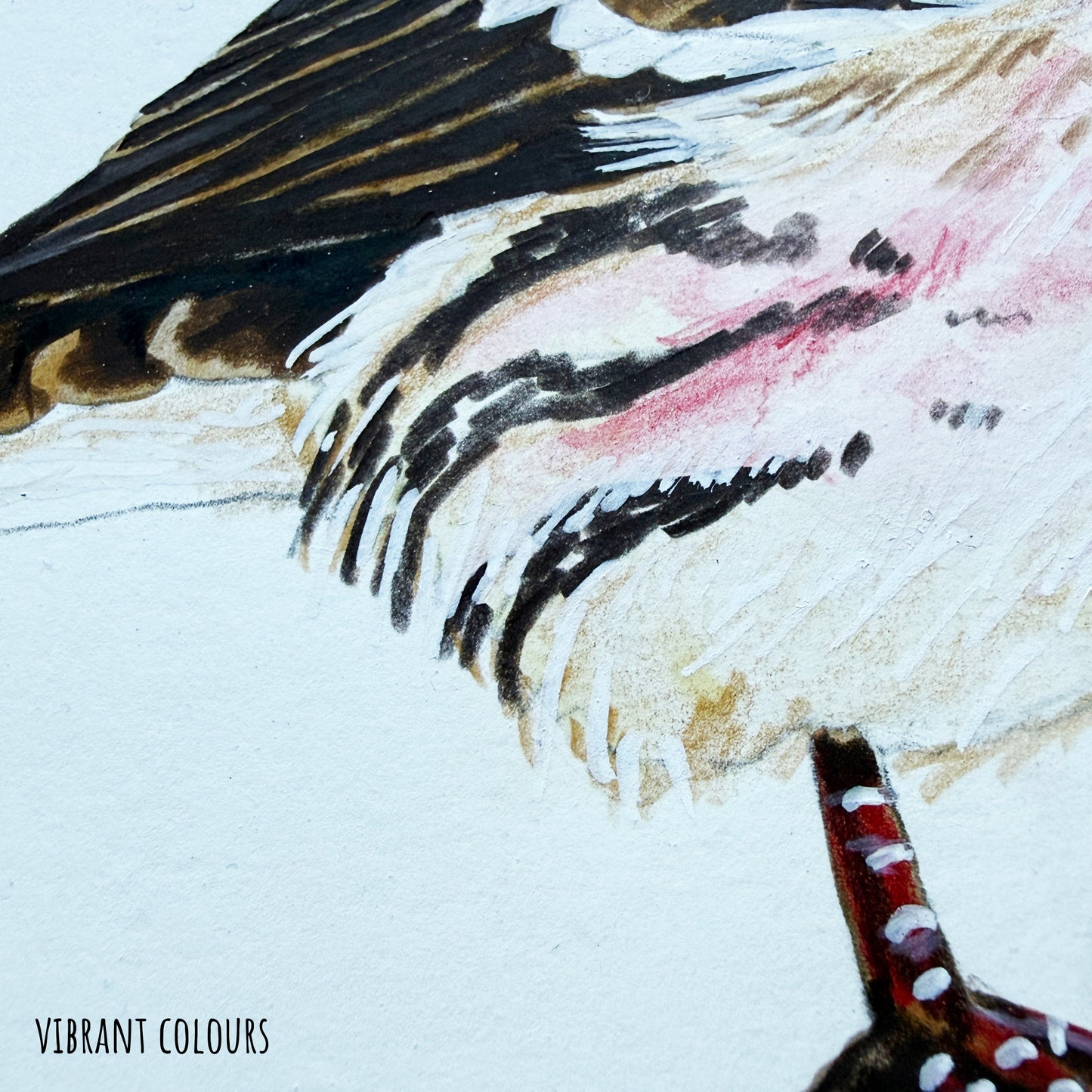 A close up of the common redpoll bird artwork, showing the details and textures of the art materials and paper stock.