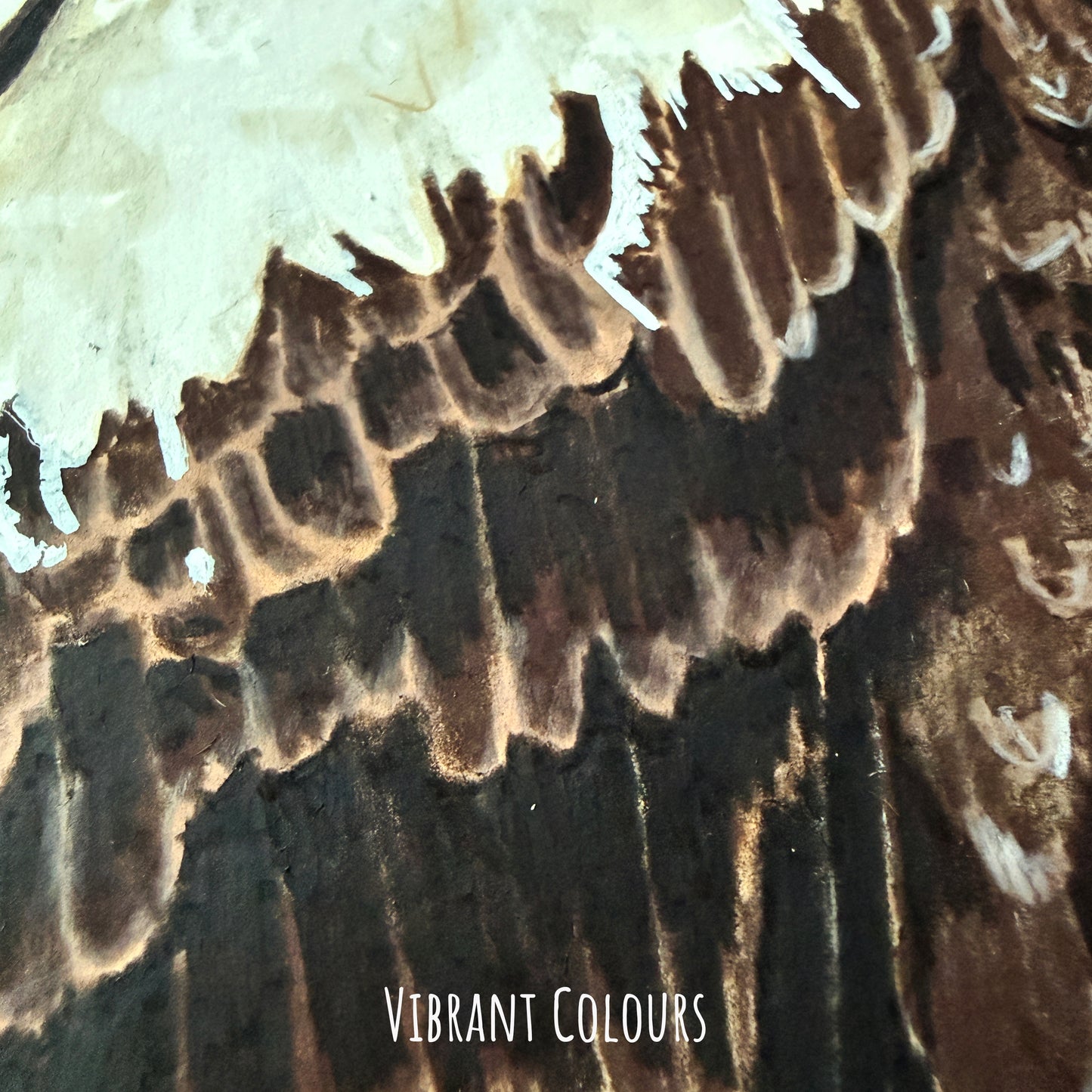 Close-up of a textured surface of the eagle drawing with 'Vibrant Colours' text overlay