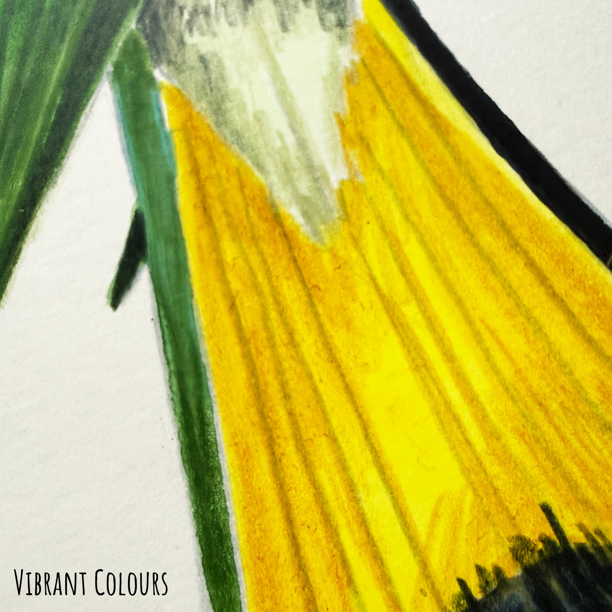 A close of the red-bearded bee-eater bird showing the details and textures of the artwork and paper stock.