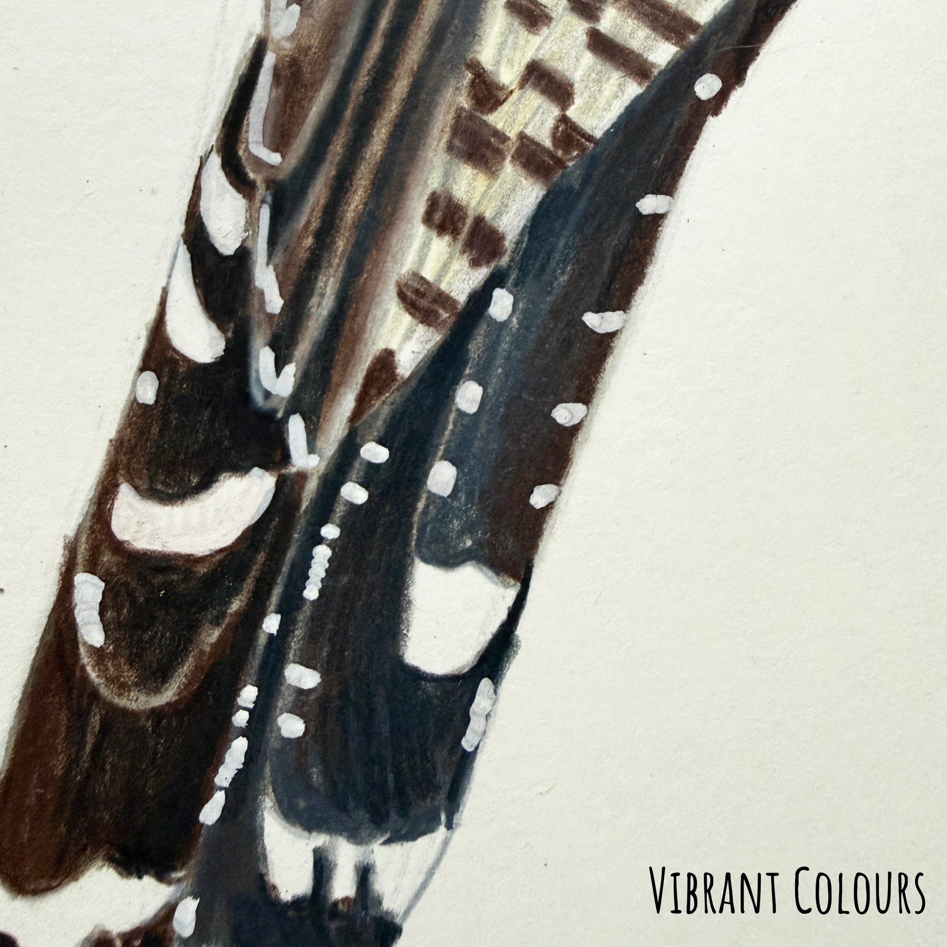 A close of the common cuckoo bird showing the details and textures of the artwork and paper stock.