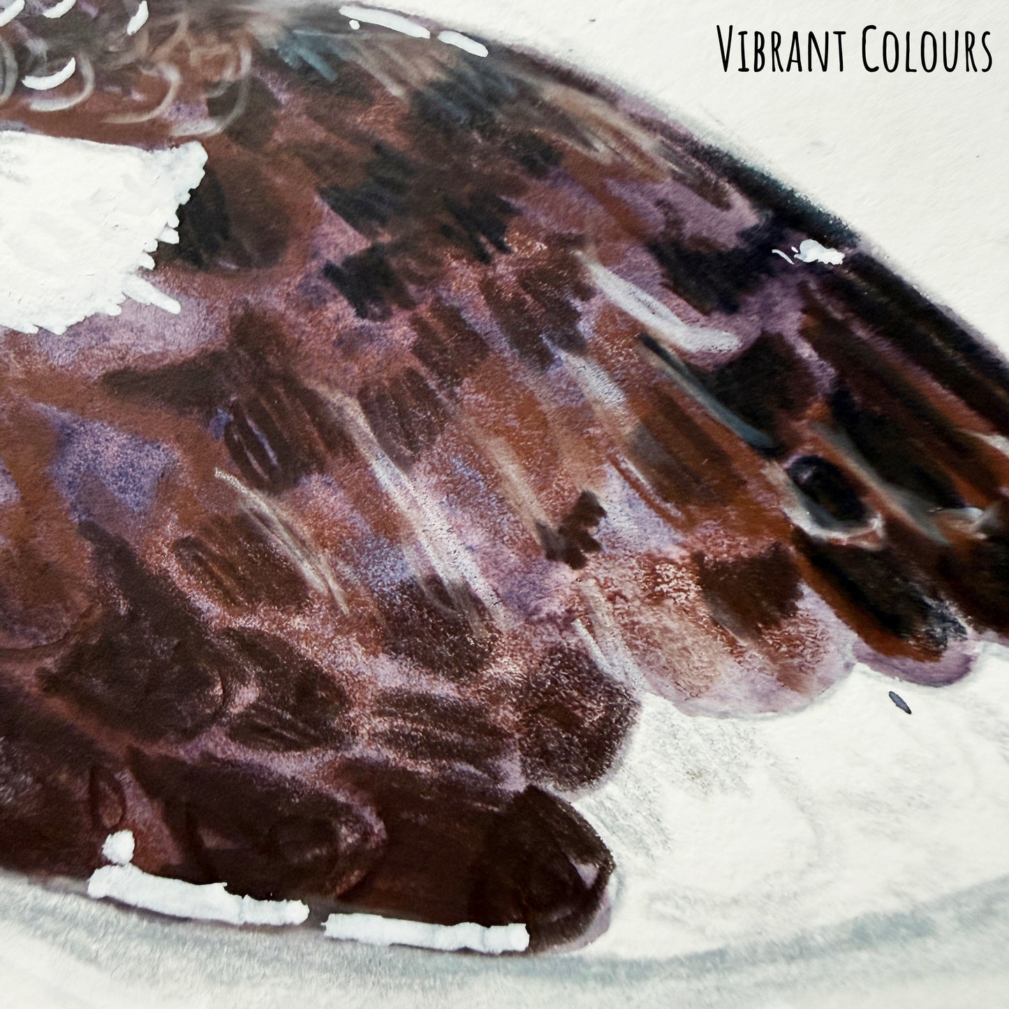 A close of the oyster catcher bird showing the details and textures of the artwork and paper stock.