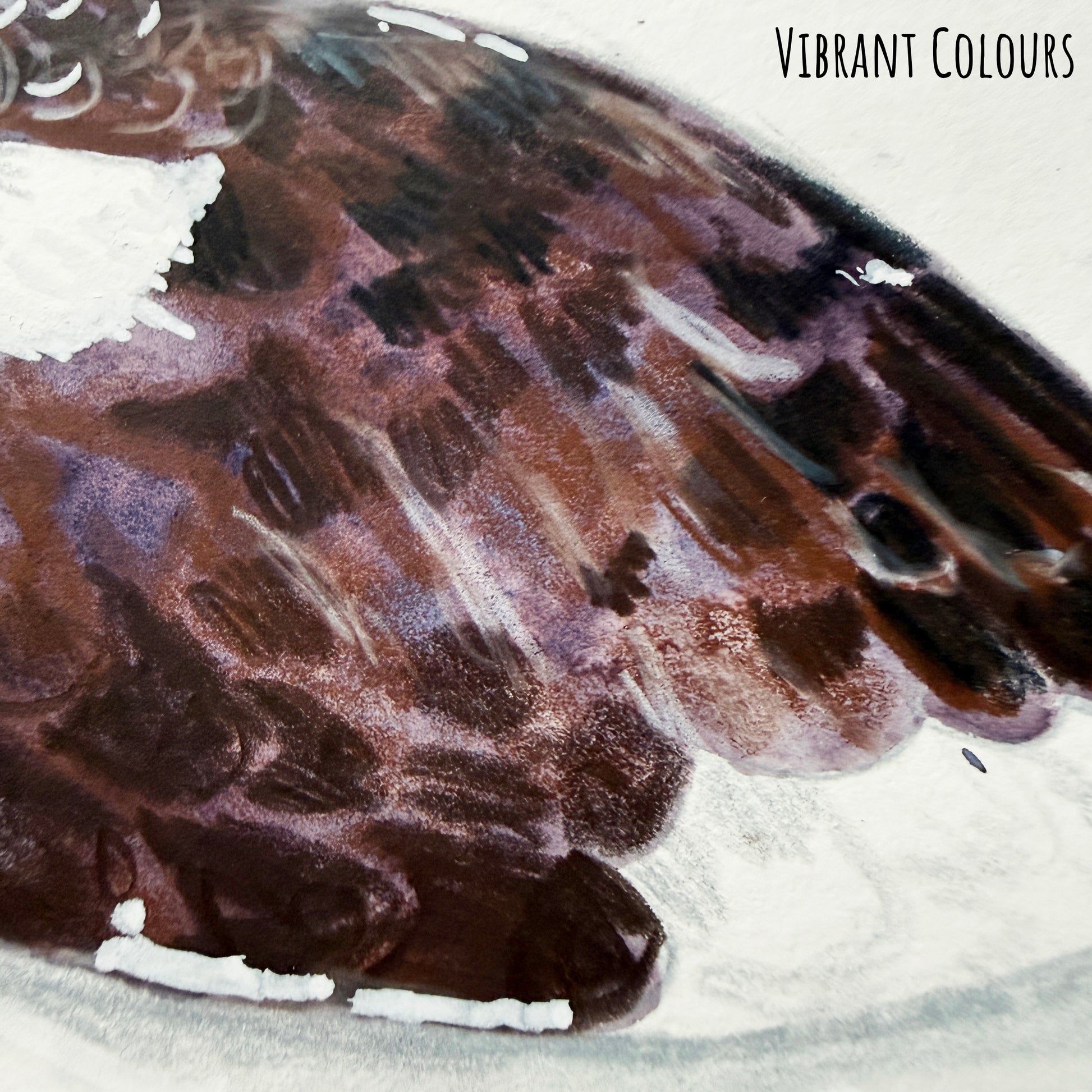 A close of the oyster catcher bird showing the details and textures of the artwork and paper stock.
