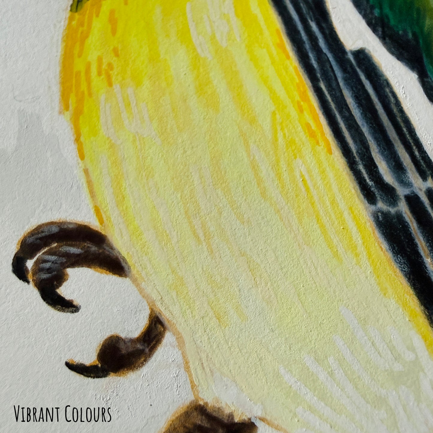 Close-up of a watercolour painting of a Many-coloured Rush Tyrant bird with vibrant colours on a textured white background.