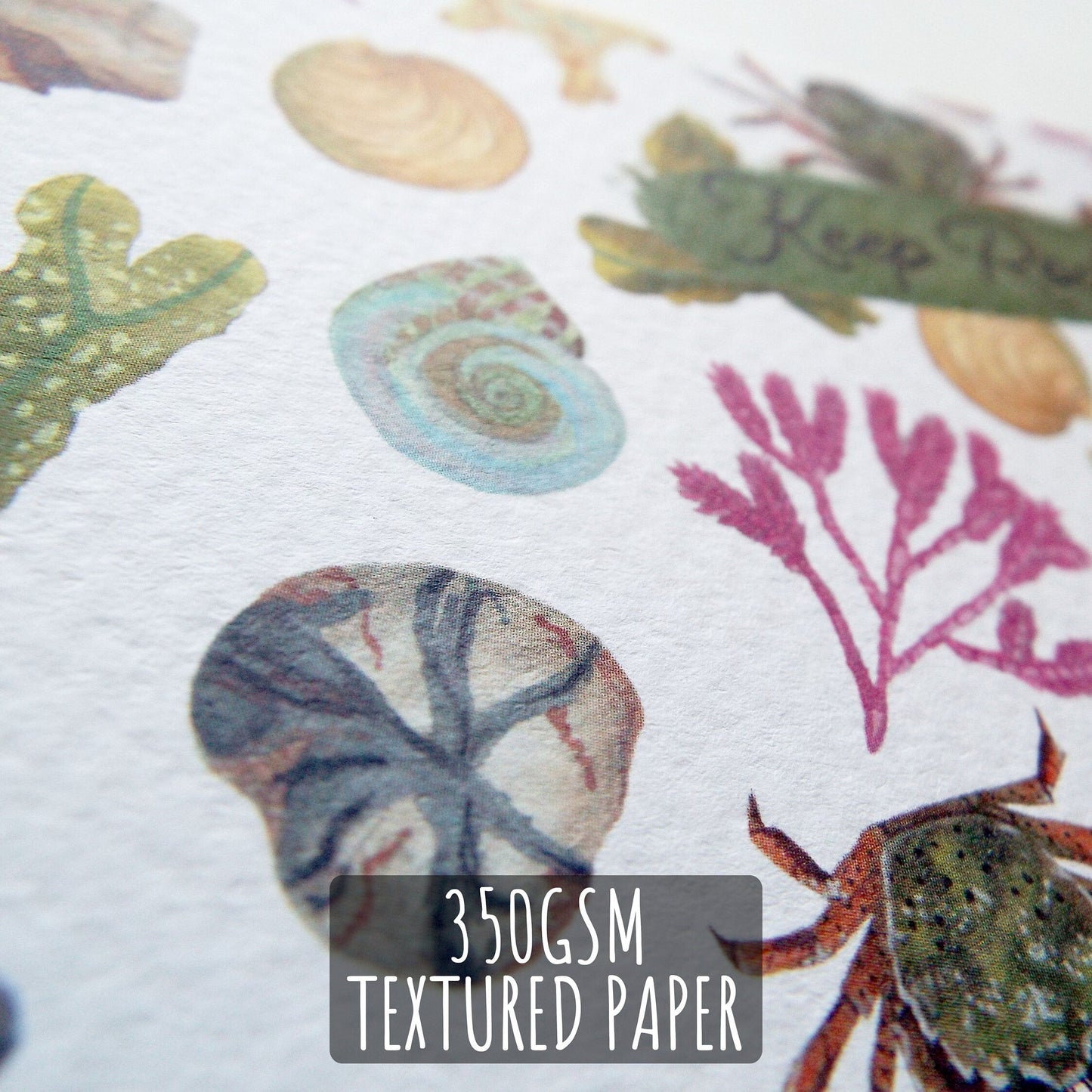 Beach-Combing Rock Pool Birthday Card