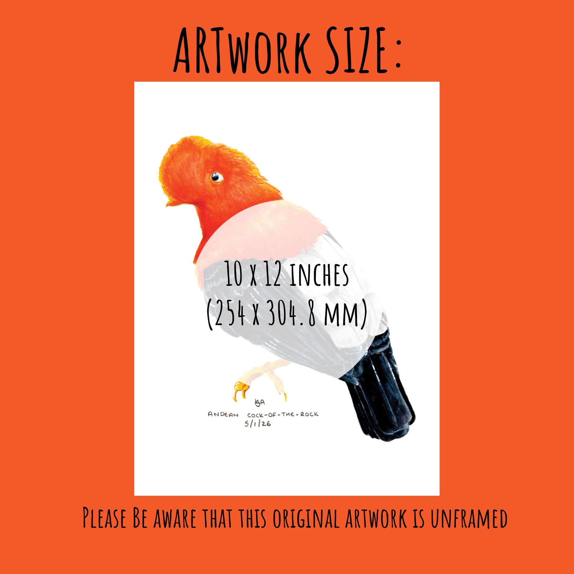 Artwork of a bird with dimensions 10x12 inches on an orange background.