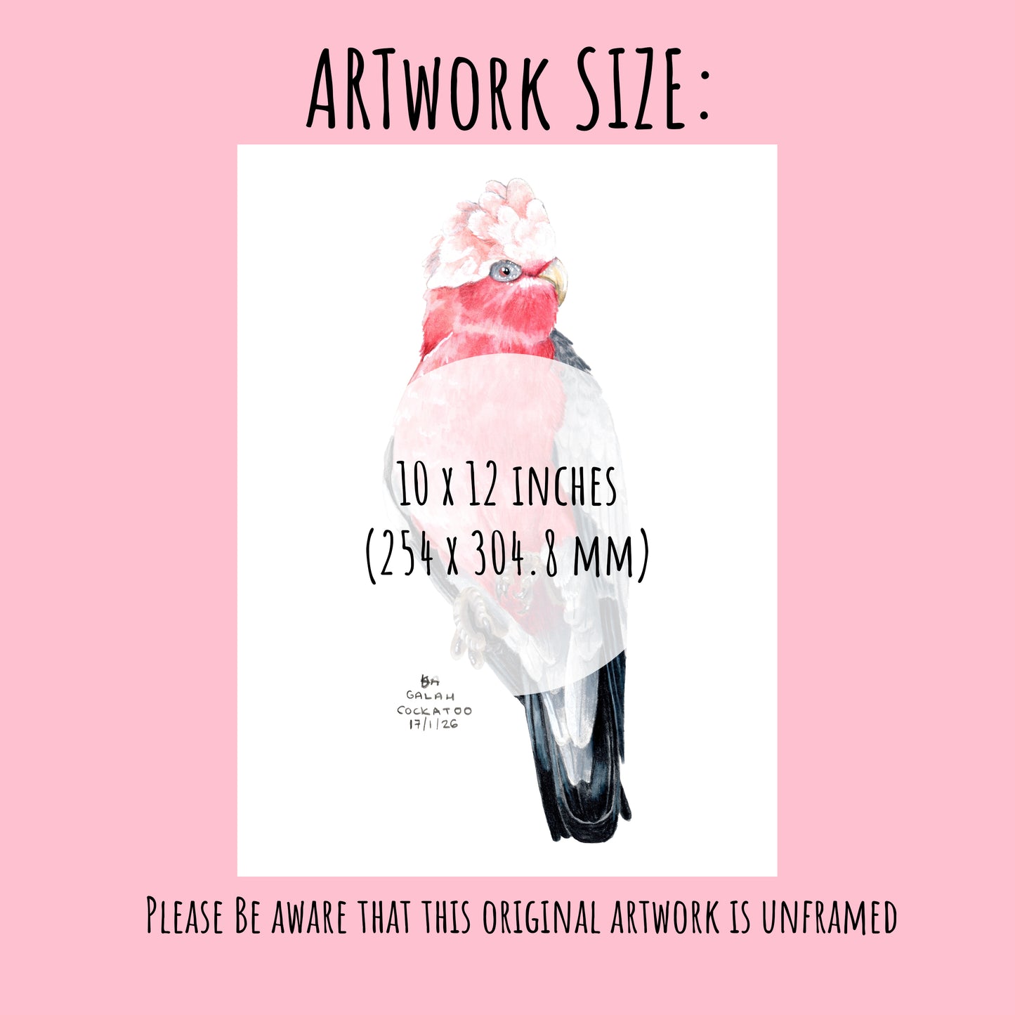 Artwork of a cockatoo on a pink background with text about size 10 x 12 inches.