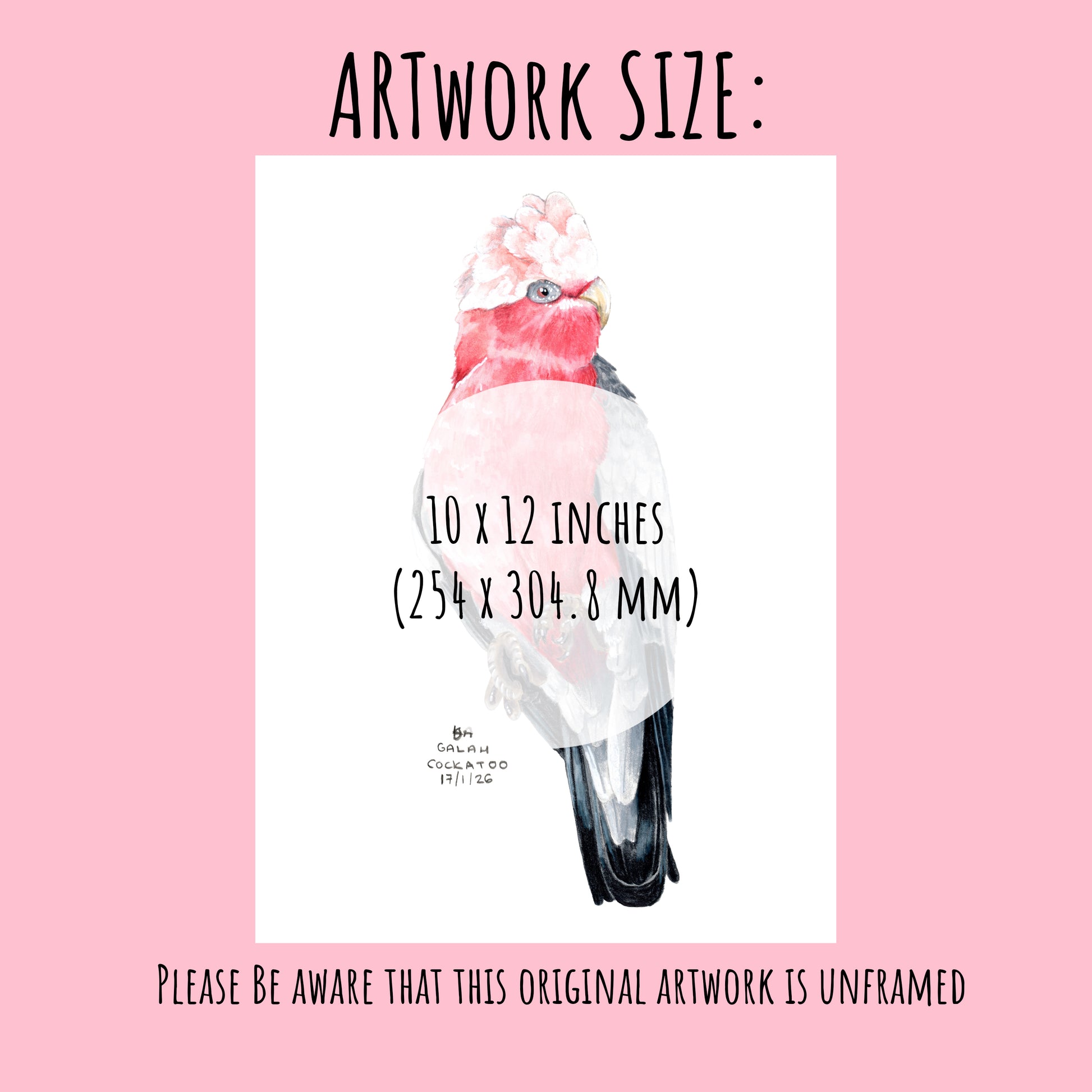 Artwork of a cockatoo on a pink background with text about size 10 x 12 inches.