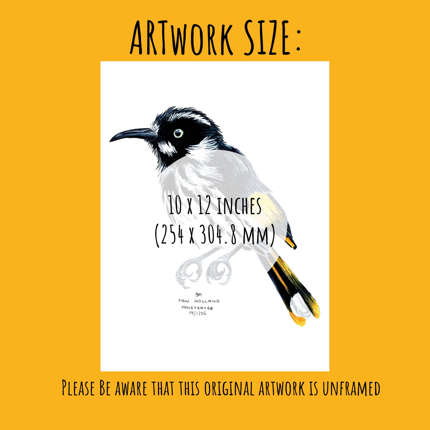 new holland honeyeater Bird illustration with size information on a yellow background (10 x 12 inches)