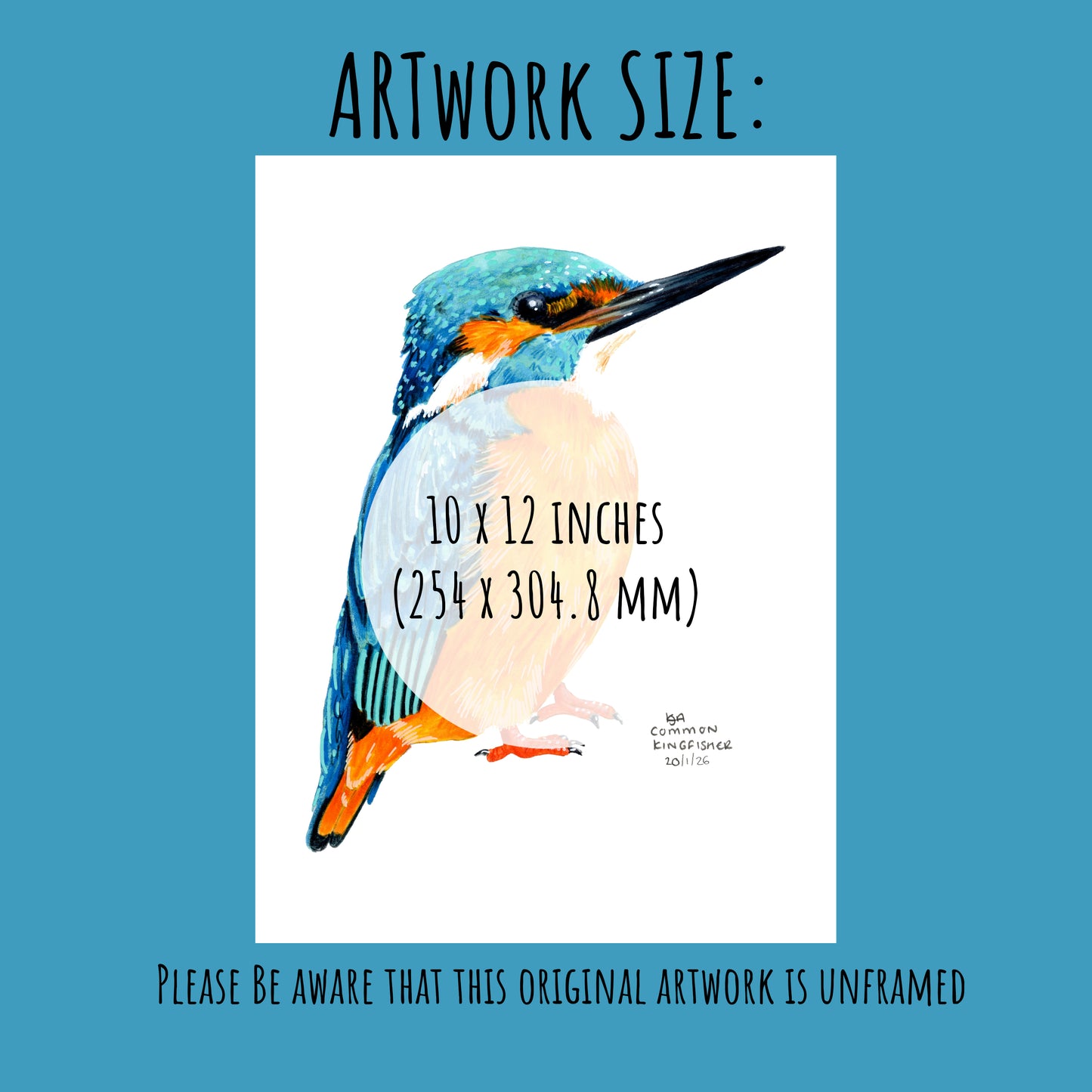 Kingfisher bird illustration with dimensions of the artwork (10 x 12 inches) on a blue background