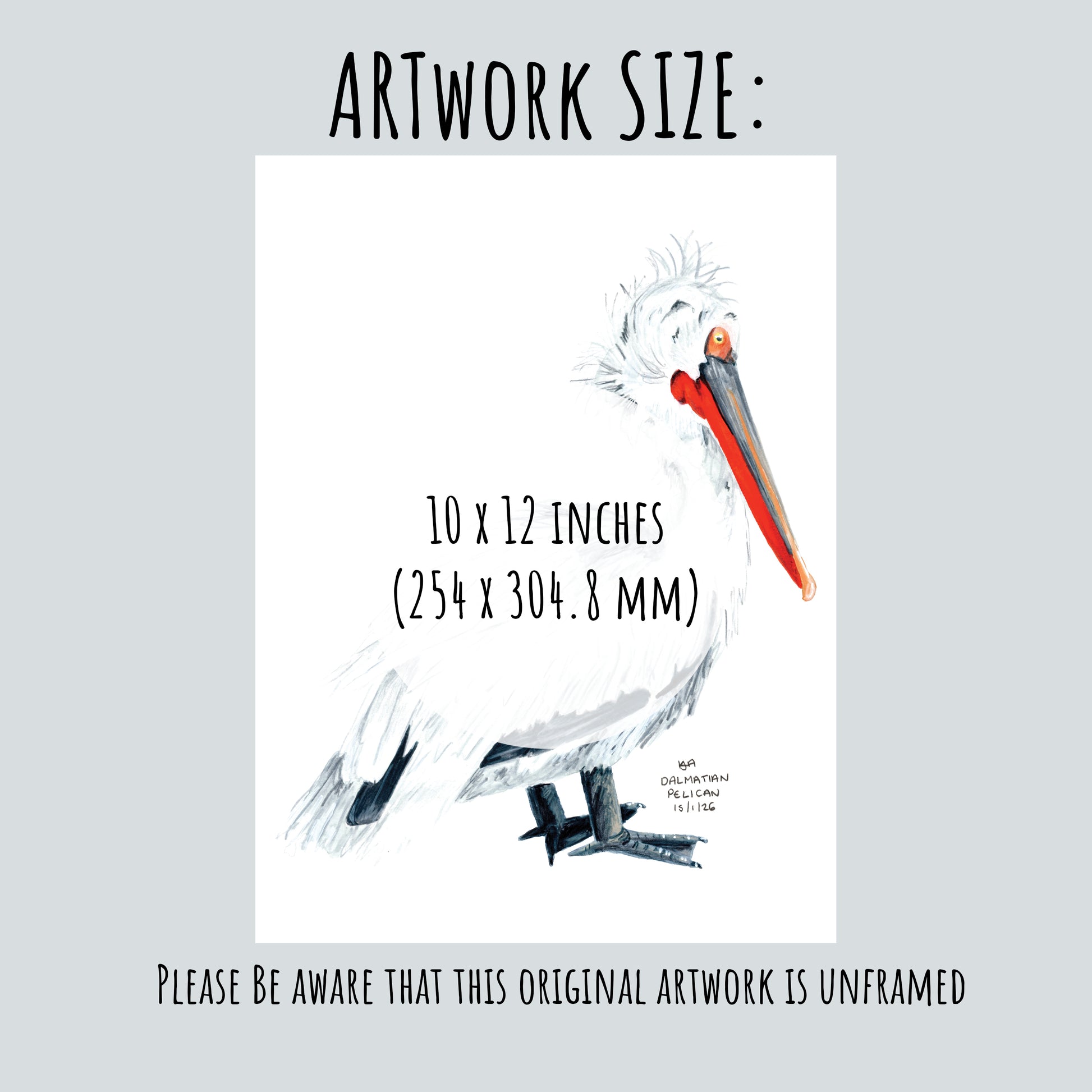 Artwork of a dalmatian pelican on a pale grey backgournd with text of the size information 10 x 12 inches.
