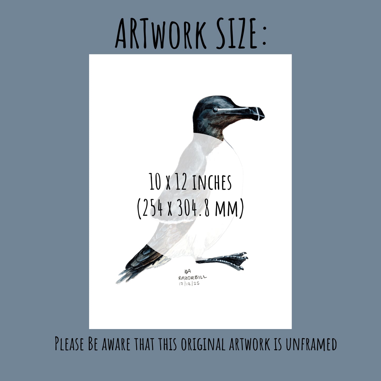 Artwork of a Razorbill bird with dimensions 10 x 12 inches on a blue background.