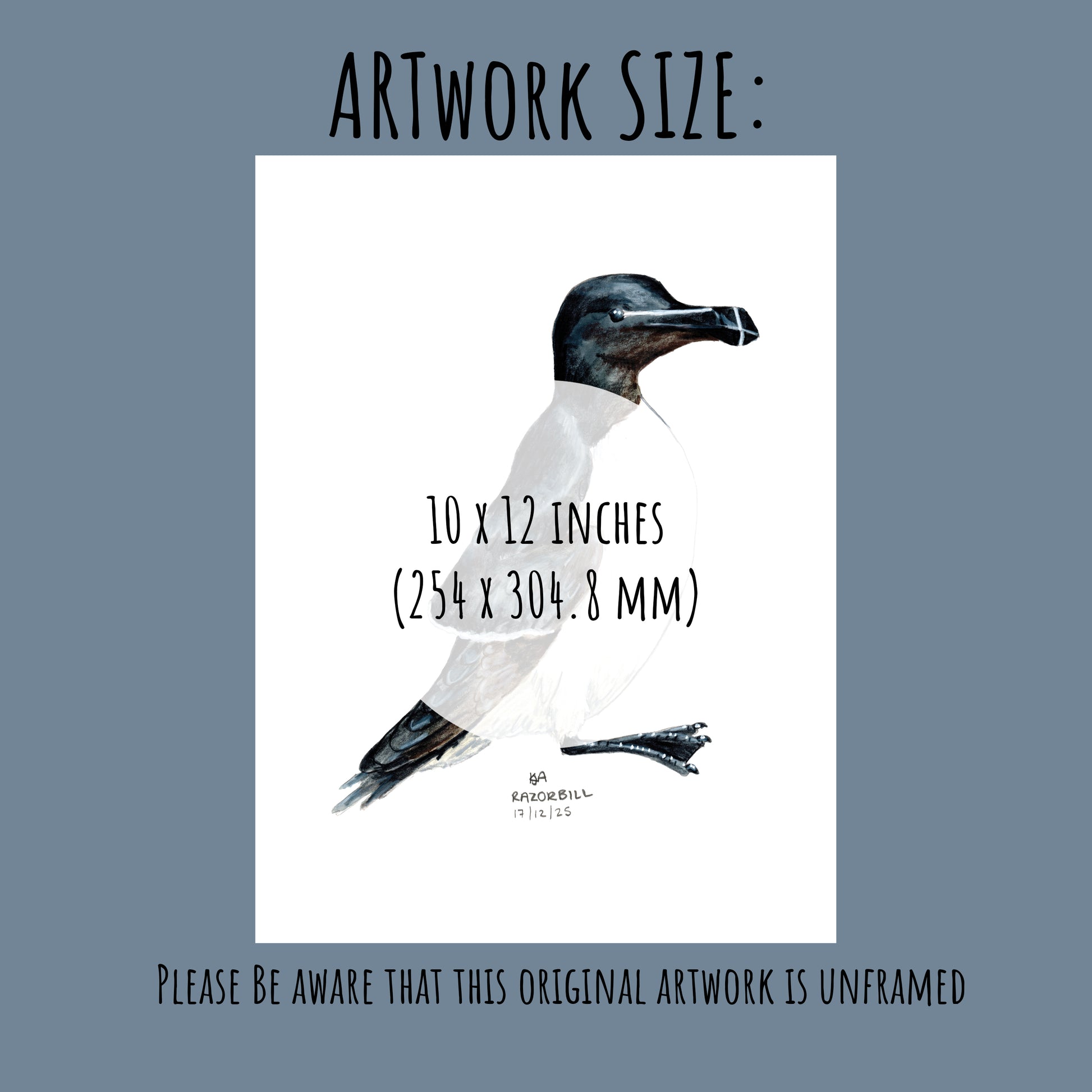 Artwork of a Razorbill bird with dimensions 10 x 12 inches on a blue background.