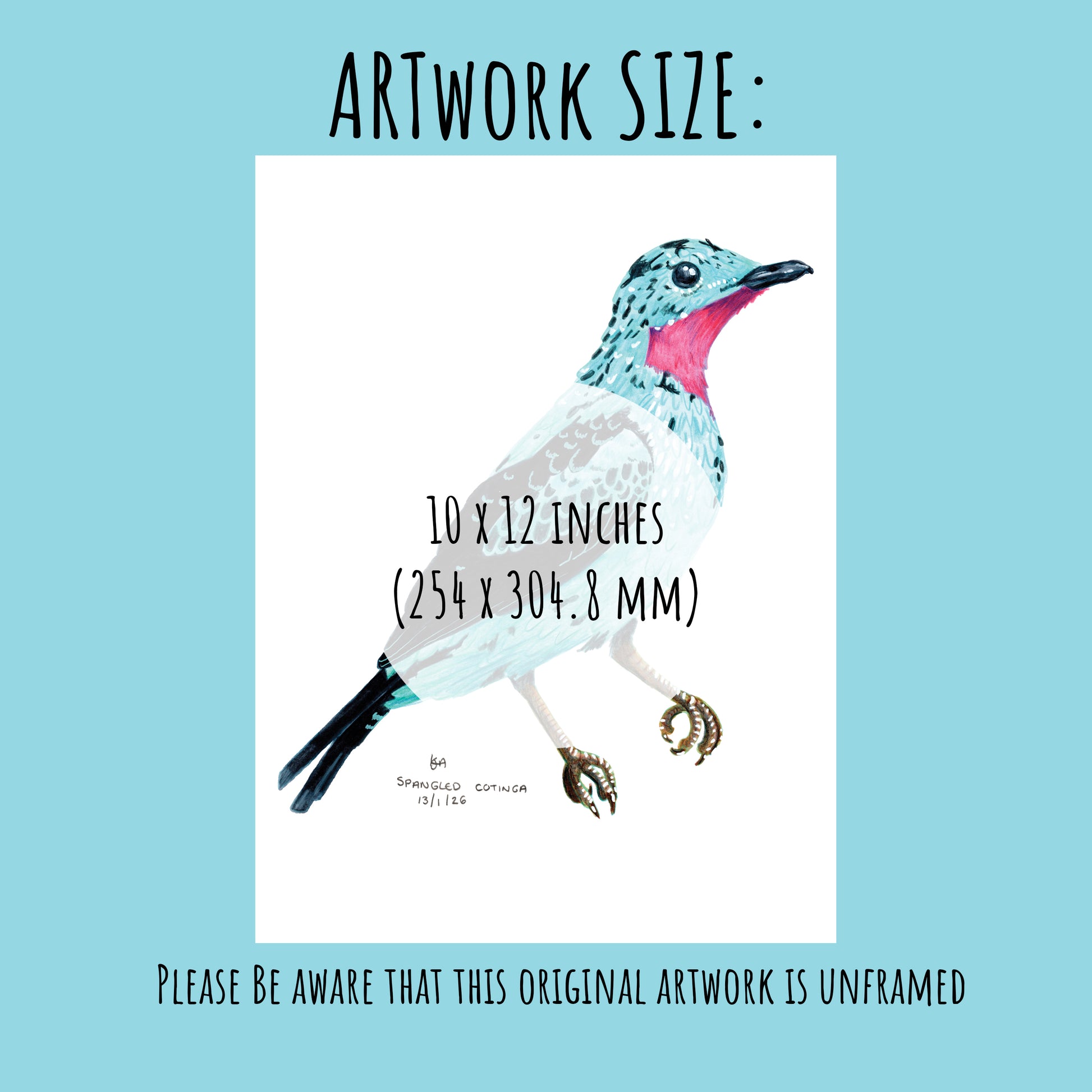 Artwork of a colourful Spangled Cotinga bird with dimensions 10x12 inches on a light blue background.