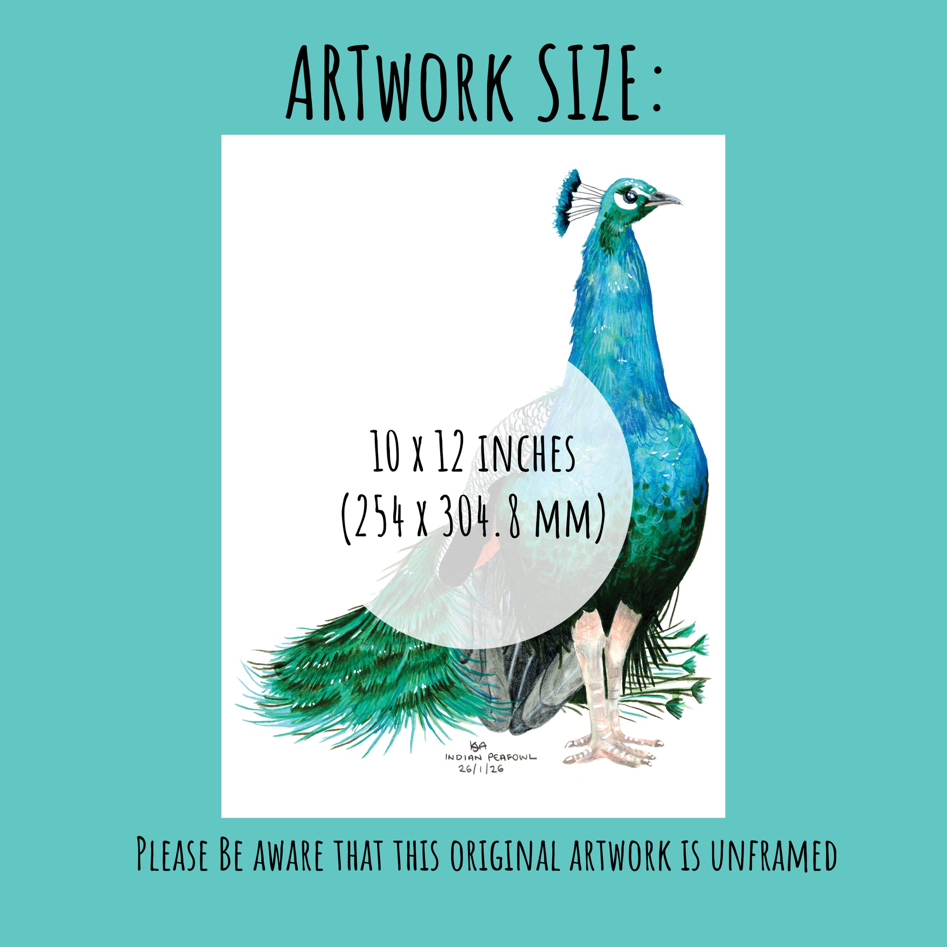 Artwork of a peacock with dimensions 10 x 12 inches on a teal background.