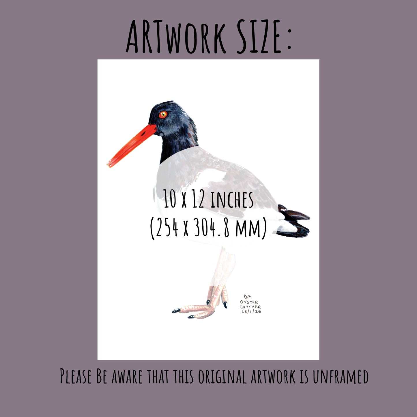 Illustration of a oyster catcher bird with text indicating the artwork size (10 x 12 inches) on a pale purple brown background