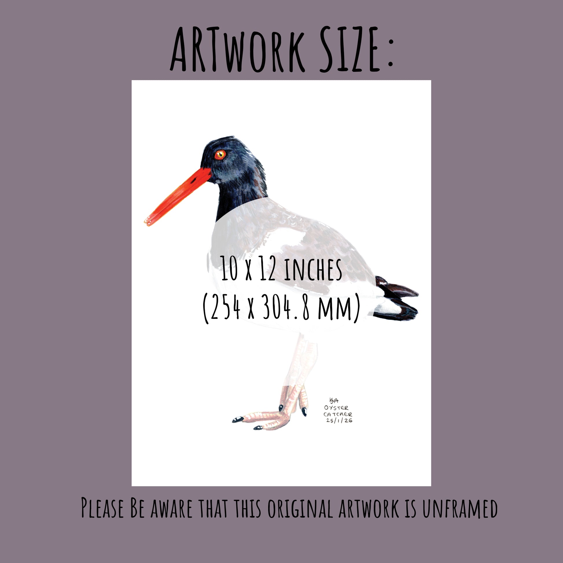 Illustration of a oyster catcher bird with text indicating the artwork size (10 x 12 inches) on a pale purple brown background