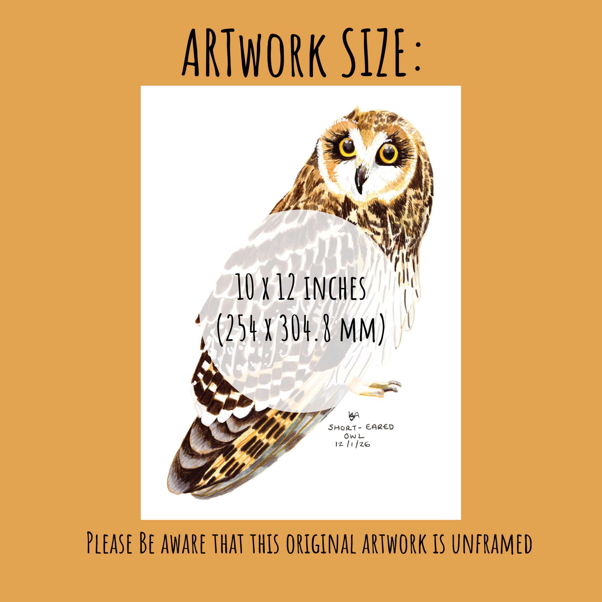 Artwork of an shorted eared owl with dimensions (10 x 12inches) and a beige/orange background
