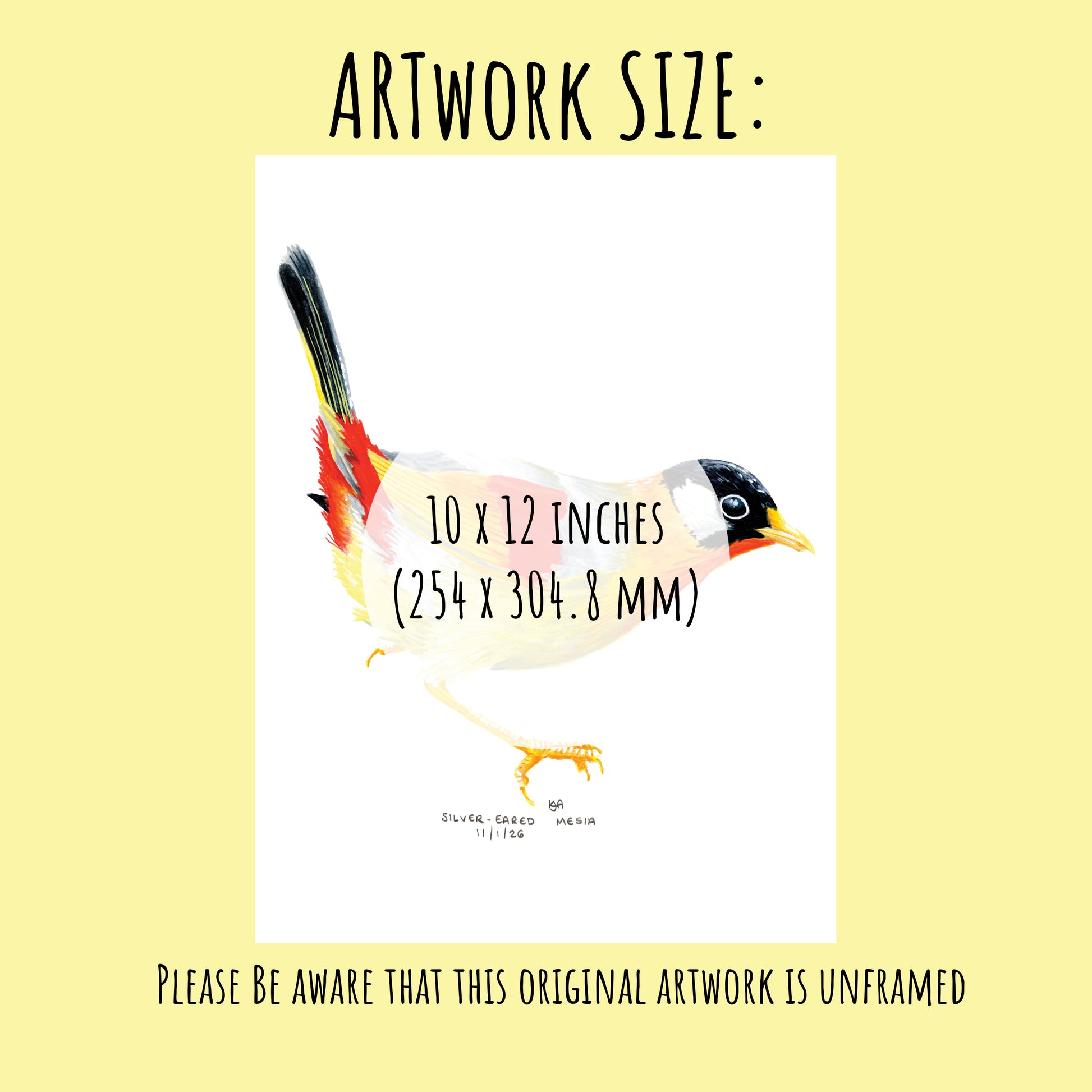 Sliver Eared Mesia  Bird illustration with dimensions 10 x 12 inches on a yellow background