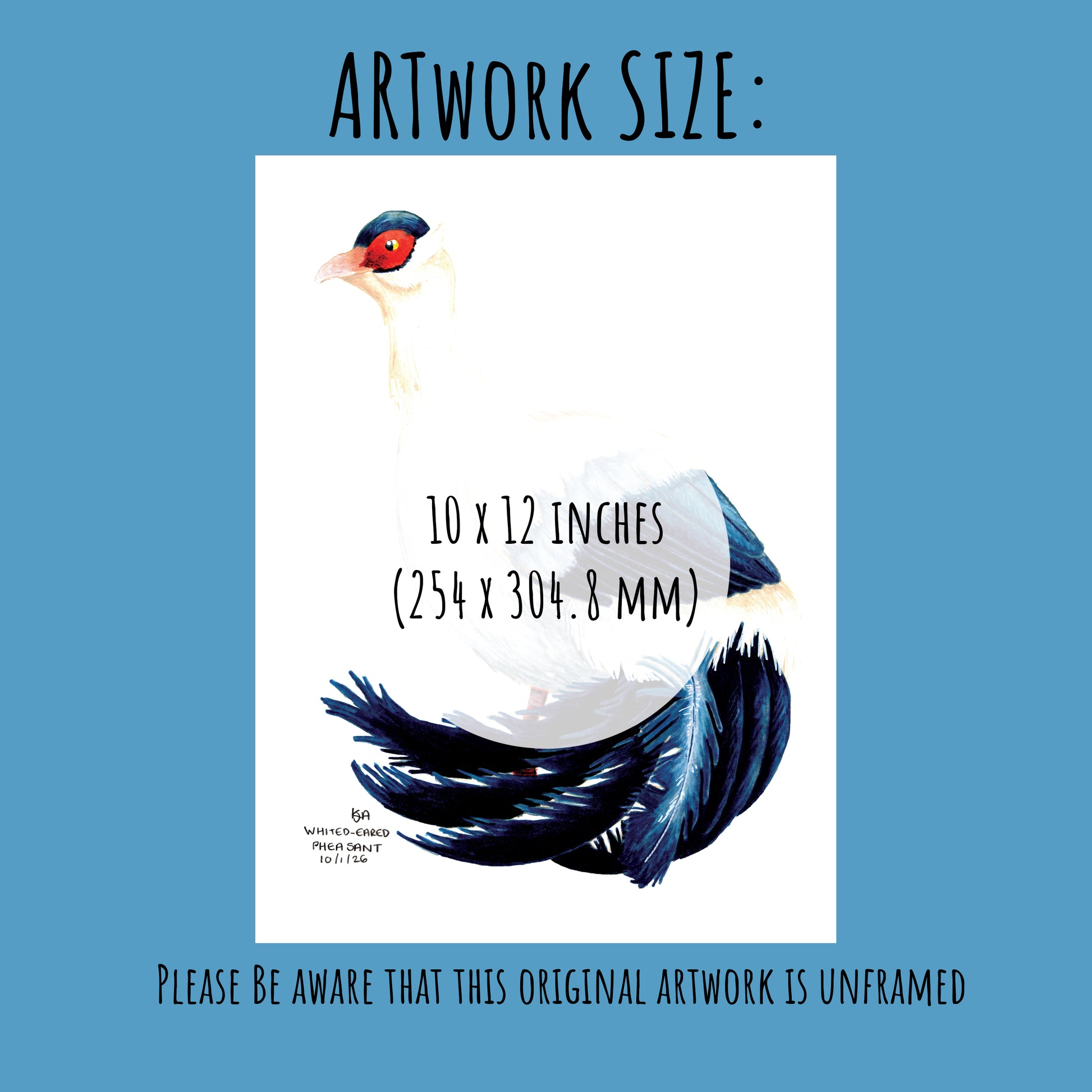 Artwork of a stylized white eared pheasant bird with text indicating size and unframed status on a blue background