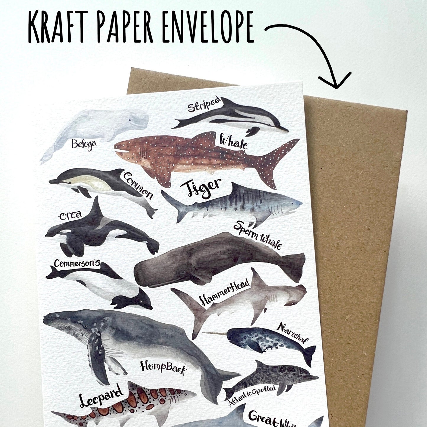 Sea-life Birthday Card