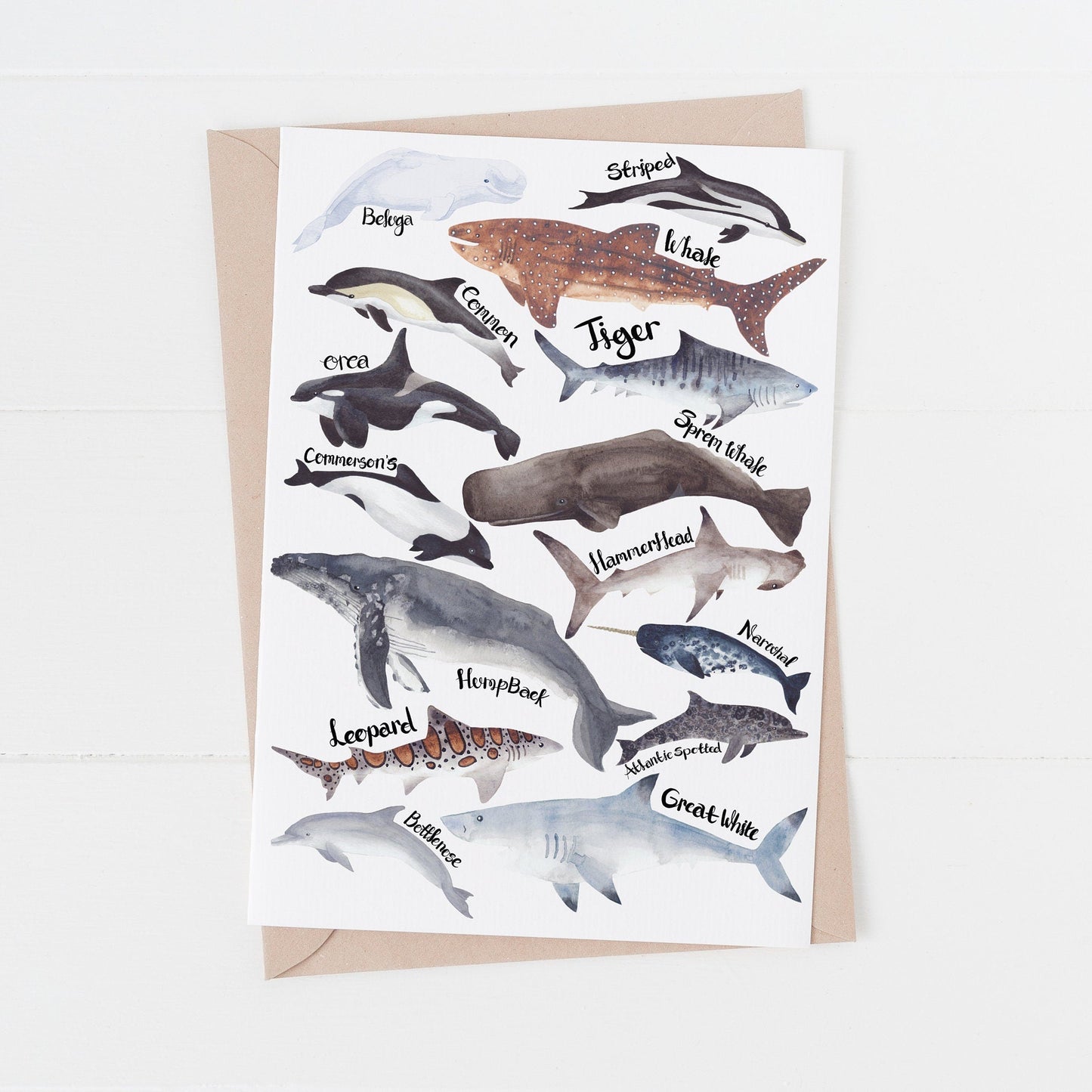 Sea-life Birthday Card