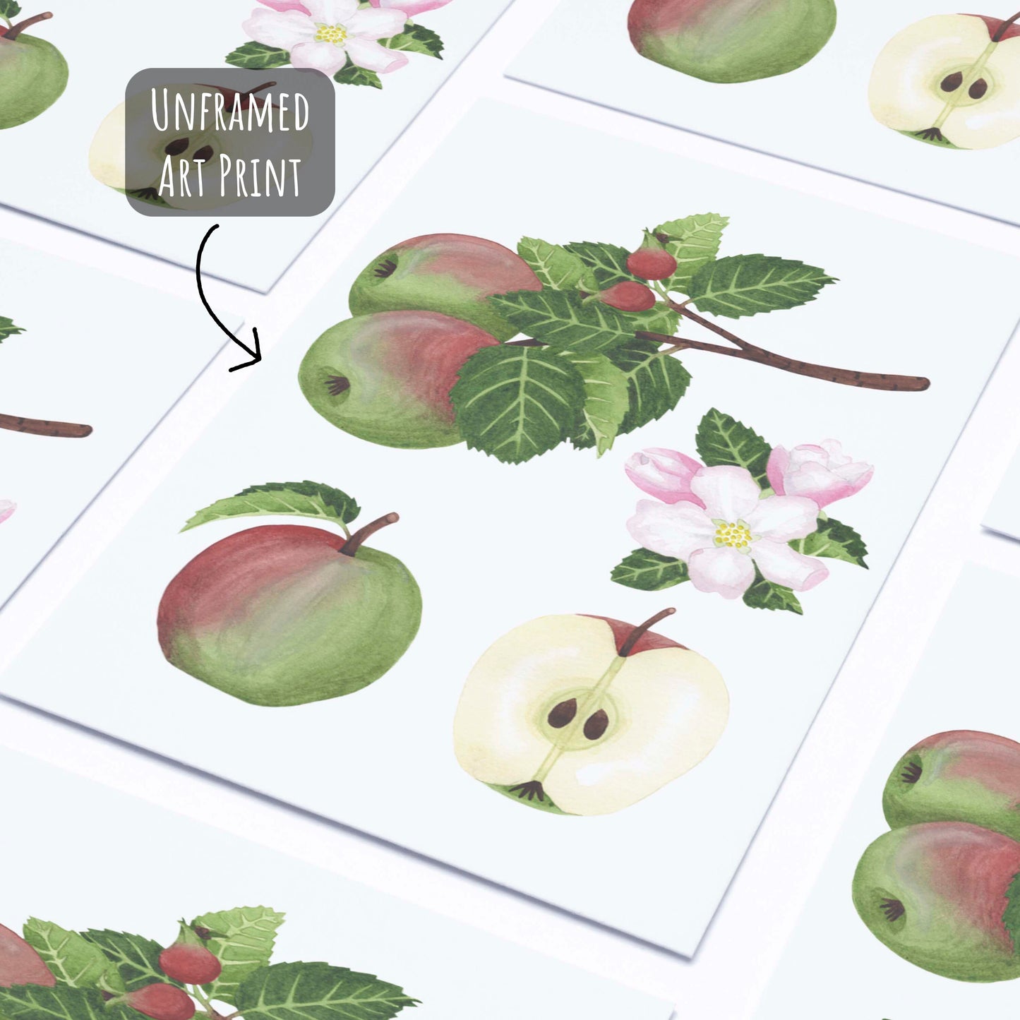 an unframed Apple Study Botanical Art Print laying on a white background.