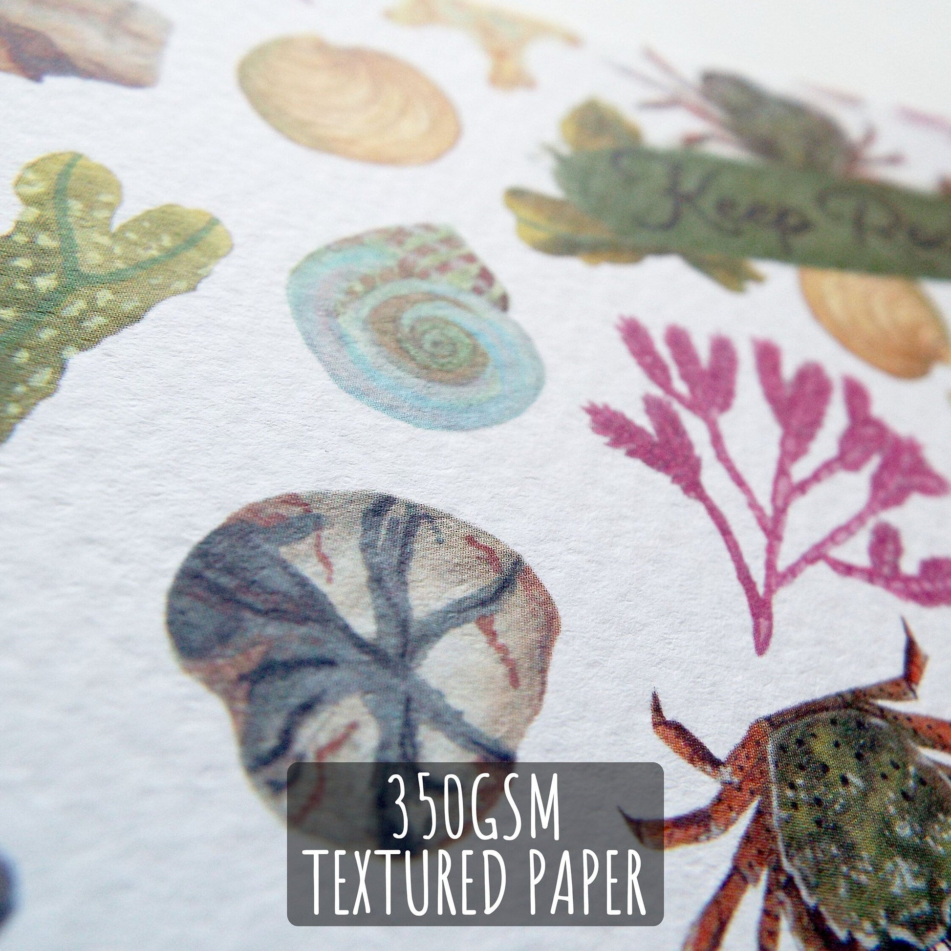 Beach Combing Birthday Card close up showing the details and textures of the illustration and paper stock with the text 250gsm textured paper.