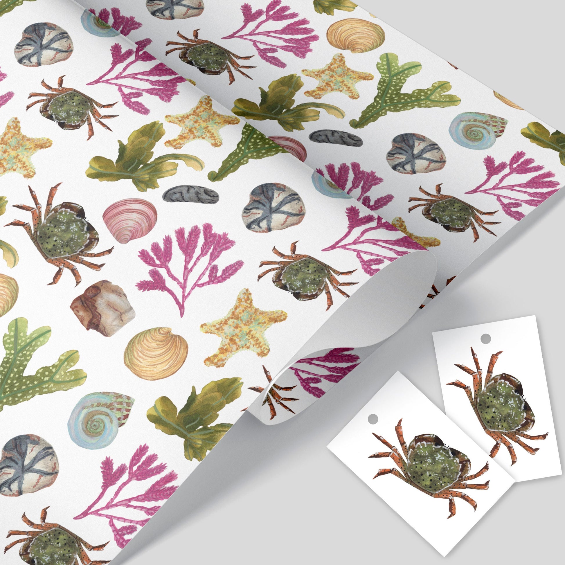 A sheet of wrapping paper with a beach comber theme, featuring watercolor illustrations of crabs, seaweed, pebbles, and shells in vibrant colors on a white background, accompanied by two tags with similar design.