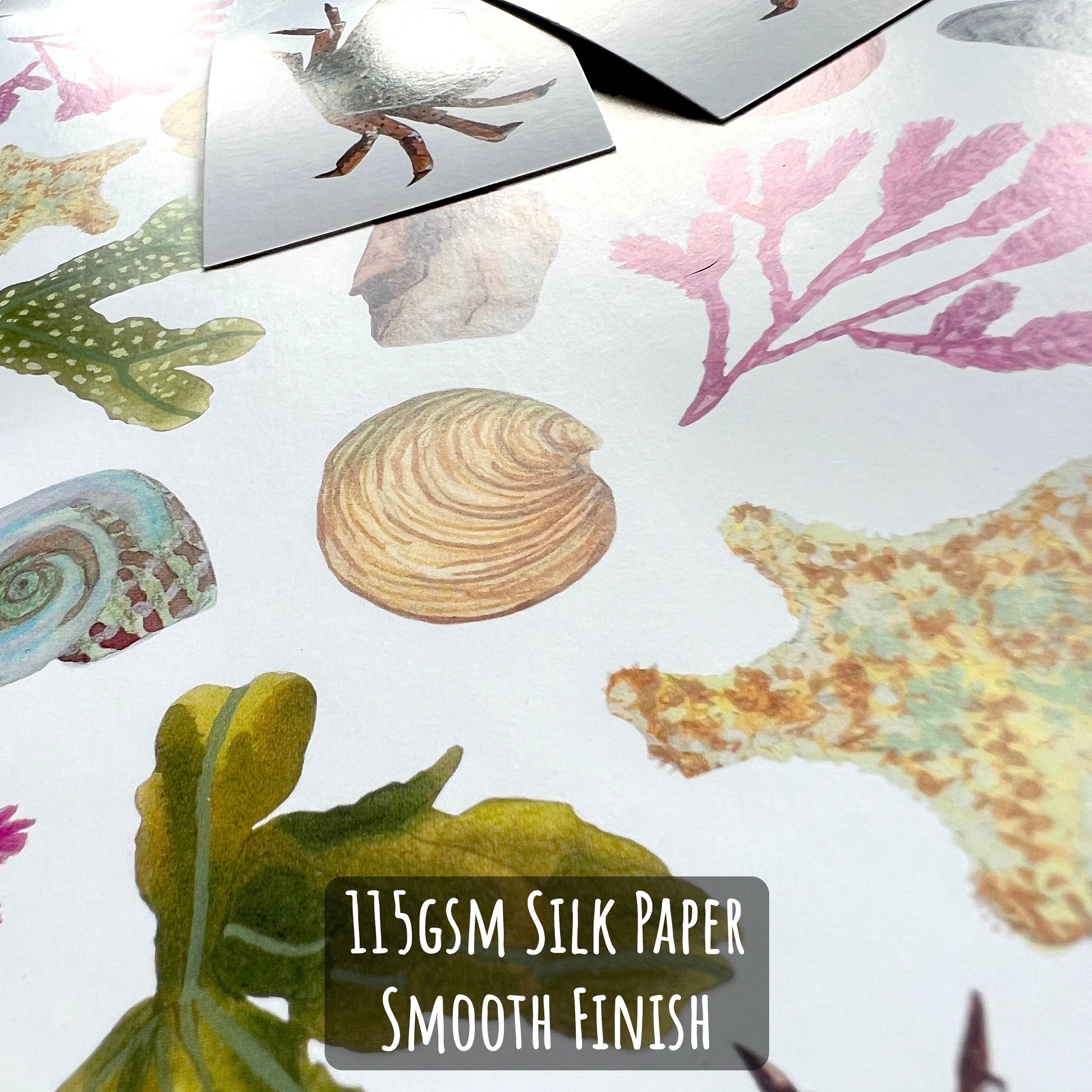 Beach Combing Birthday Wrapping Paper close up showing the details and textures of the illustration and paper stock. with the text 115gsm silk paper smooth finish.