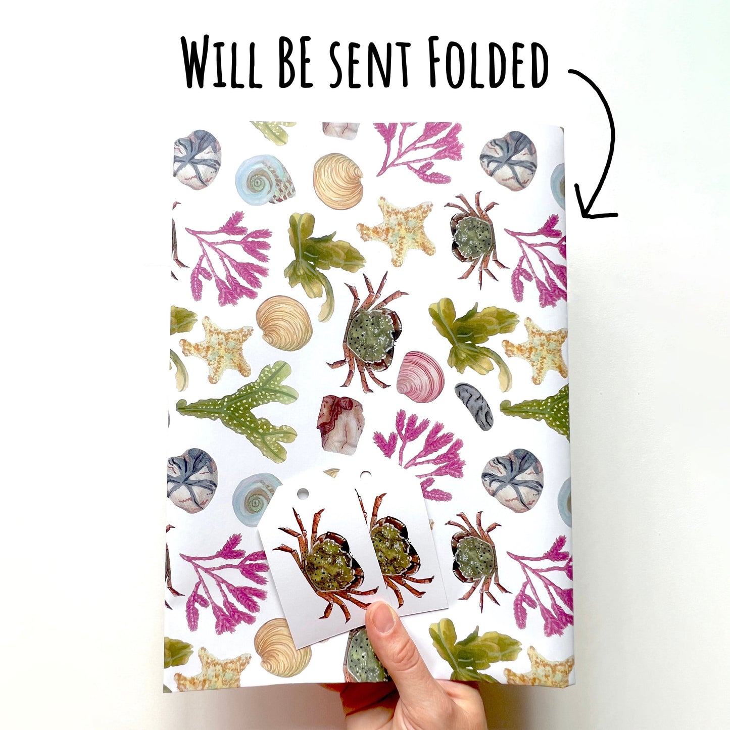Beach Combing Birthday Wrapping Paper shown folded to A4 size with the text will be sent folded. being held up against a white background.