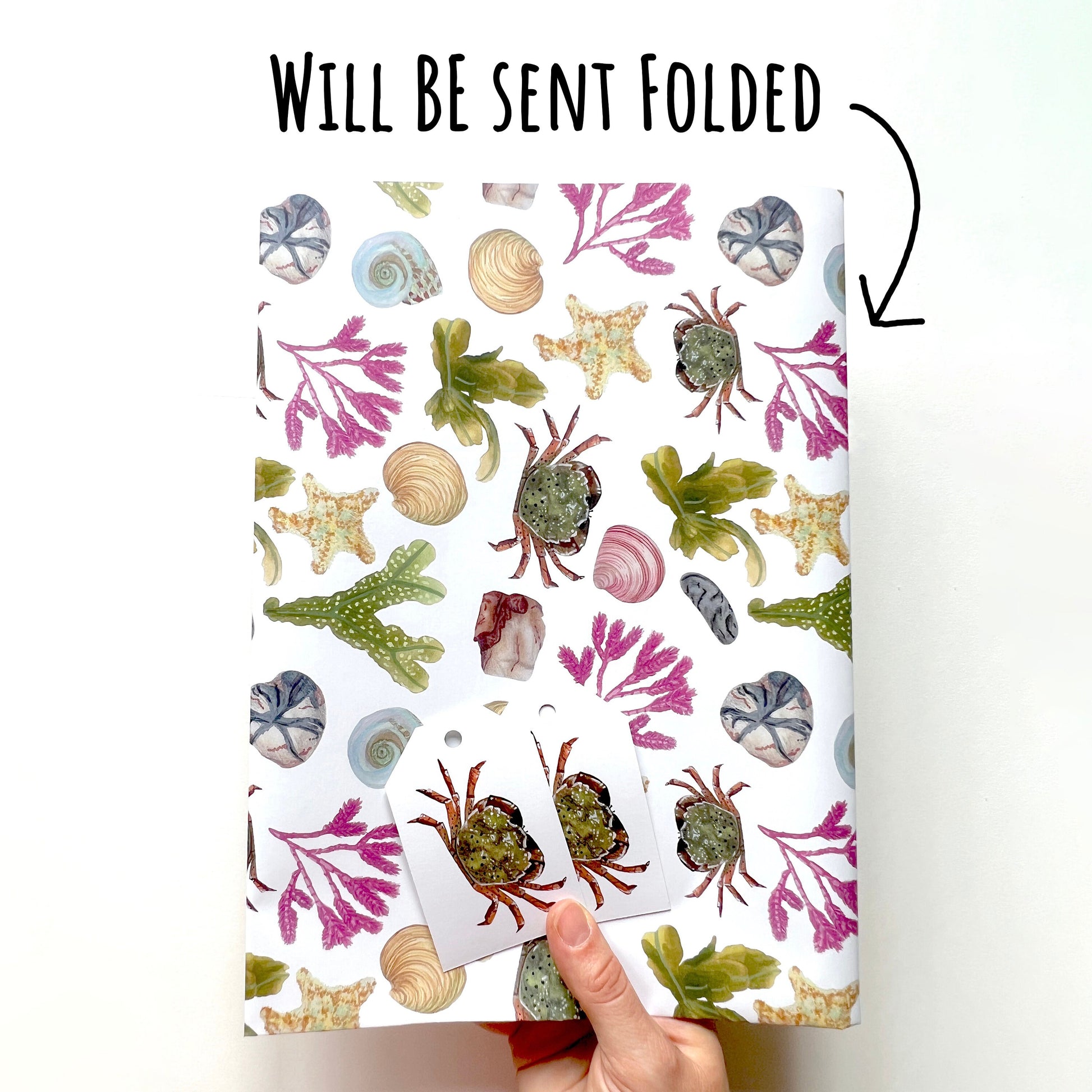 Beach Combing Birthday Wrapping Paper shown folded to A4 size with the text will be sent folded. being held up against a white background.