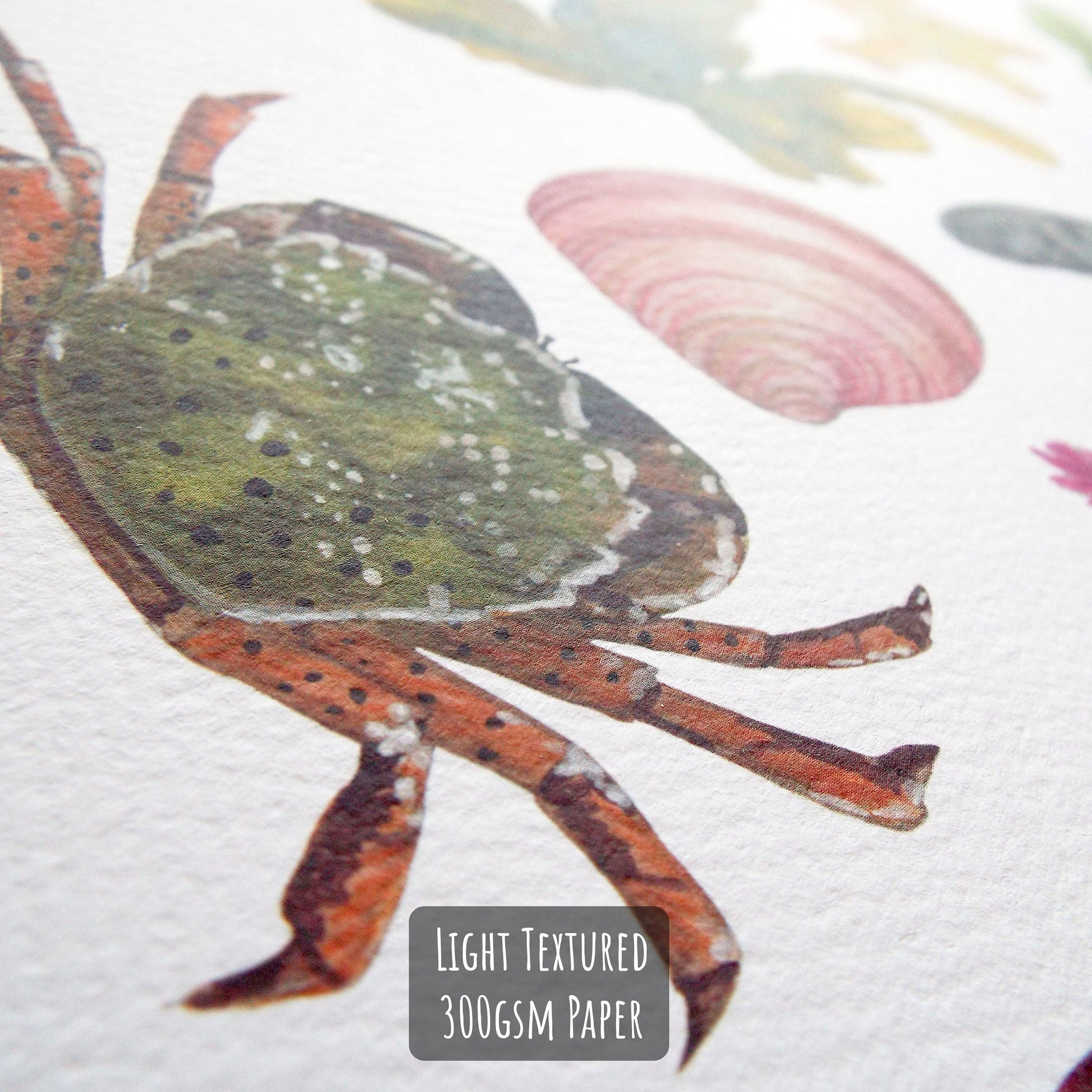 A close up of the beachcomber art print showing the details and texture f the 300gsm paper.