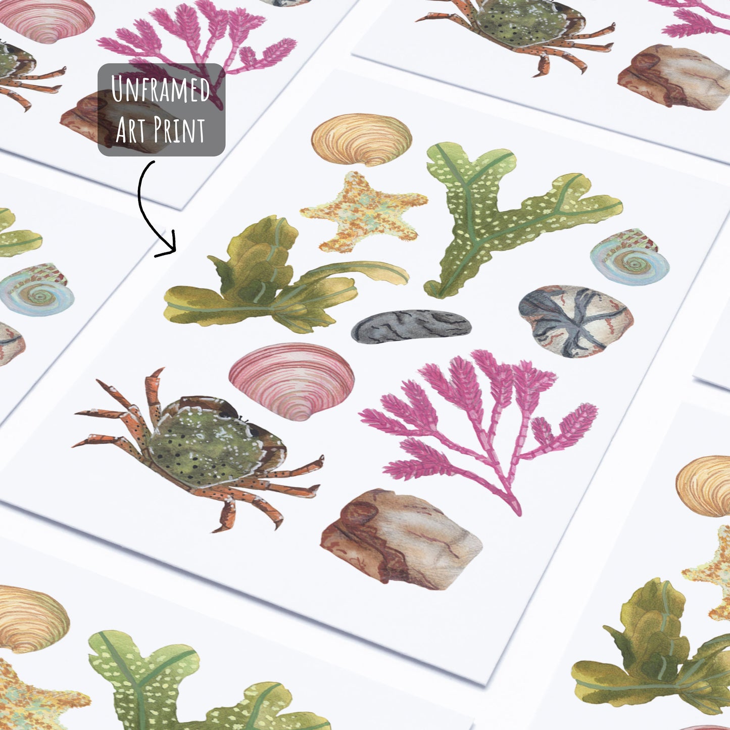 Showing the beach comber art print featuring seaweed, crab, shells and pebbles without a frame. 