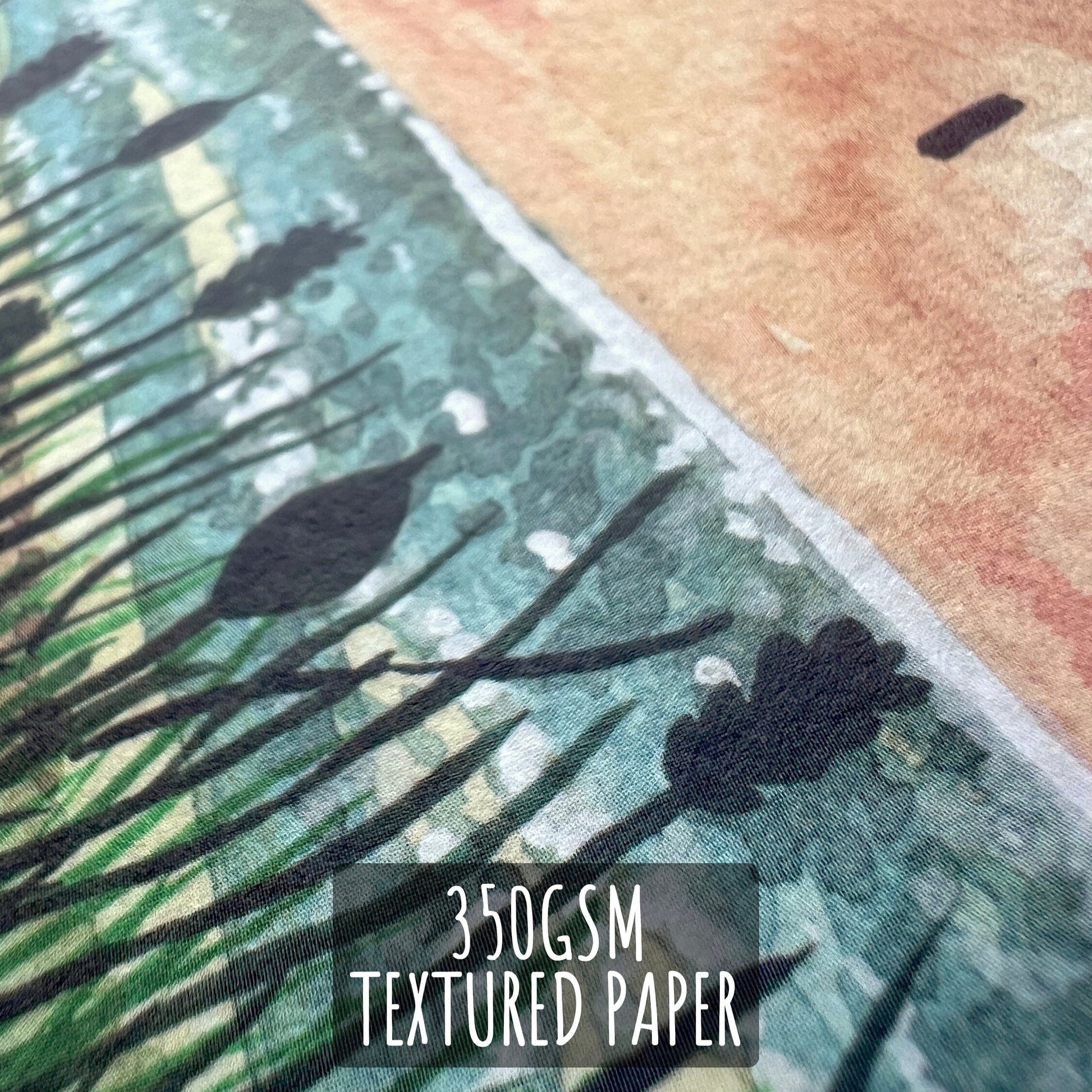 Beadnell Bay beach Birthday Card close up showing the details and textures of the illustration and paper stock. with the ext 350gsm textured paper.