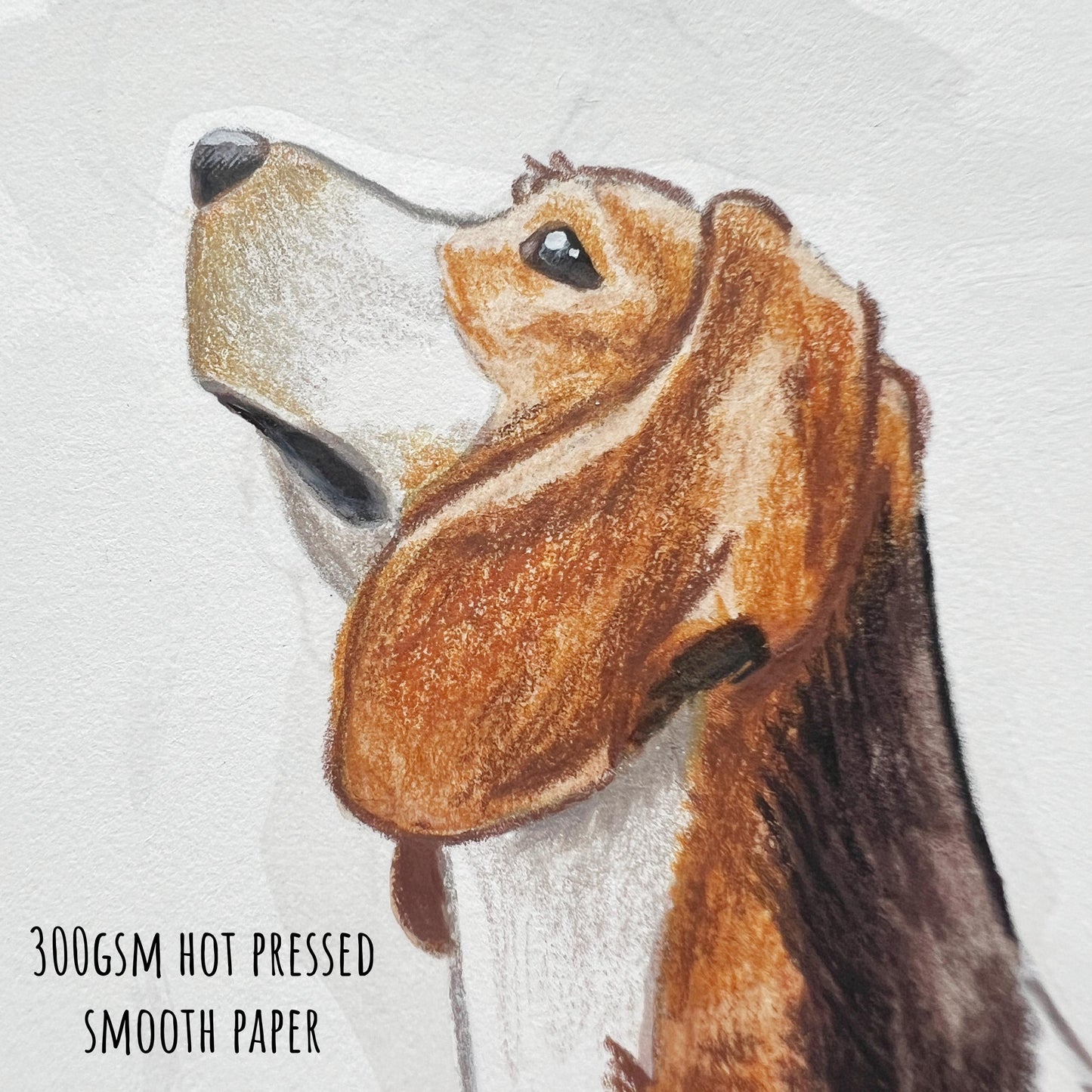 Close-up illustration of beagle face in watercolour and pencil showing the soft texture and vibrant colours