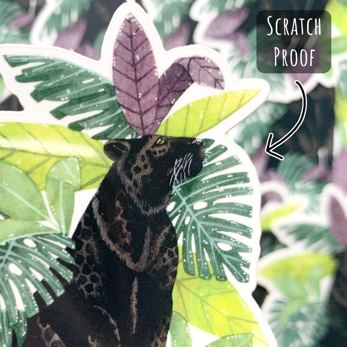 Black Leopard and Tropical Leaves Sticker with out of focus Black Leopard and Tropical Leaves Stickers in the background with the text scratch proof.