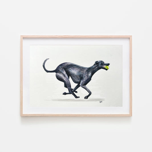 Black whippet dog running artwork in mixed media