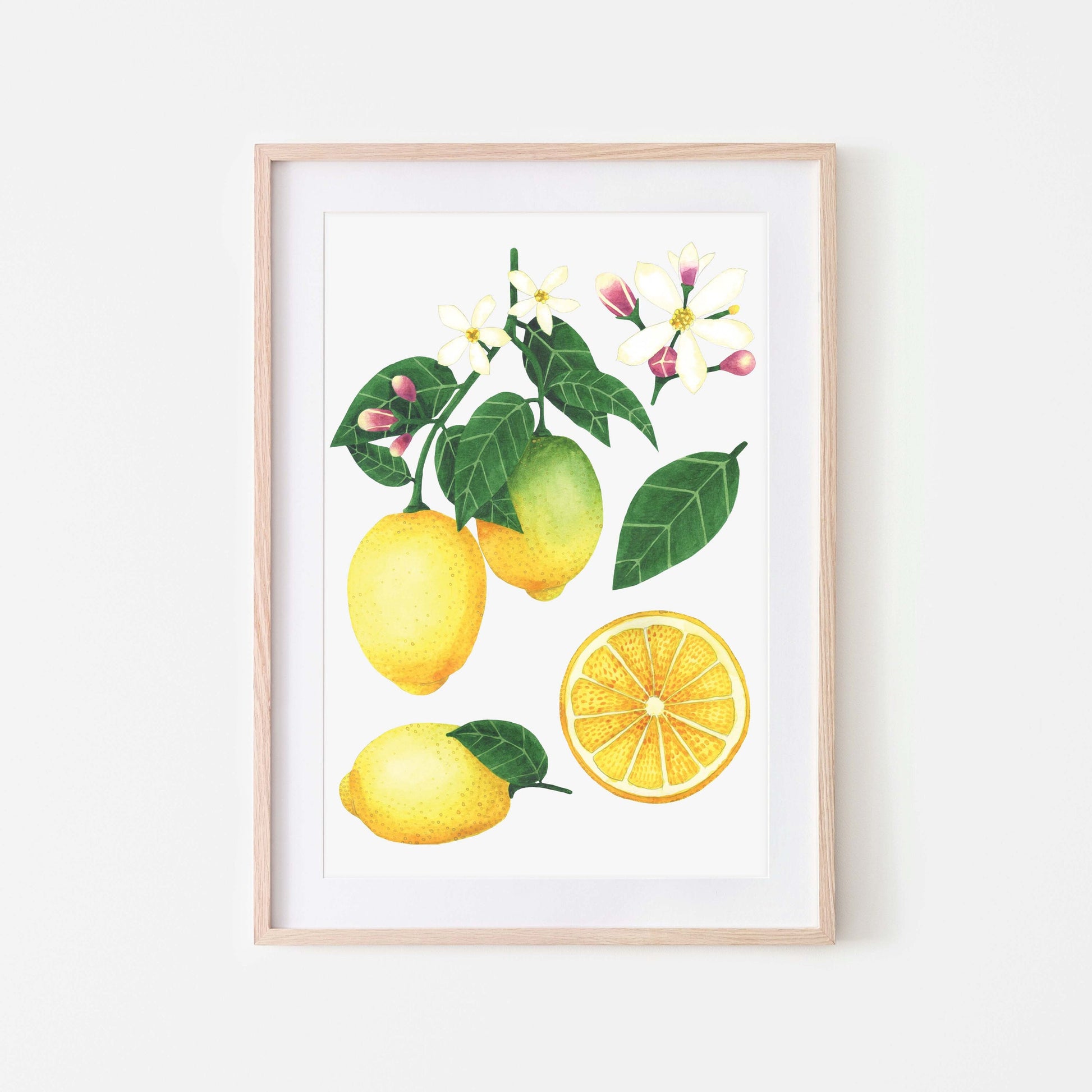 A framed art print featuring lemon fruit, flowers, and leaves on a white background.
