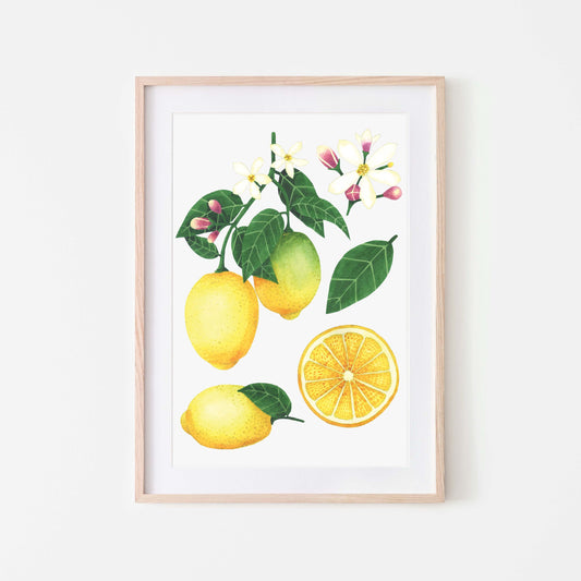 A framed art print featuring lemon fruit, flowers, and leaves on a white background.