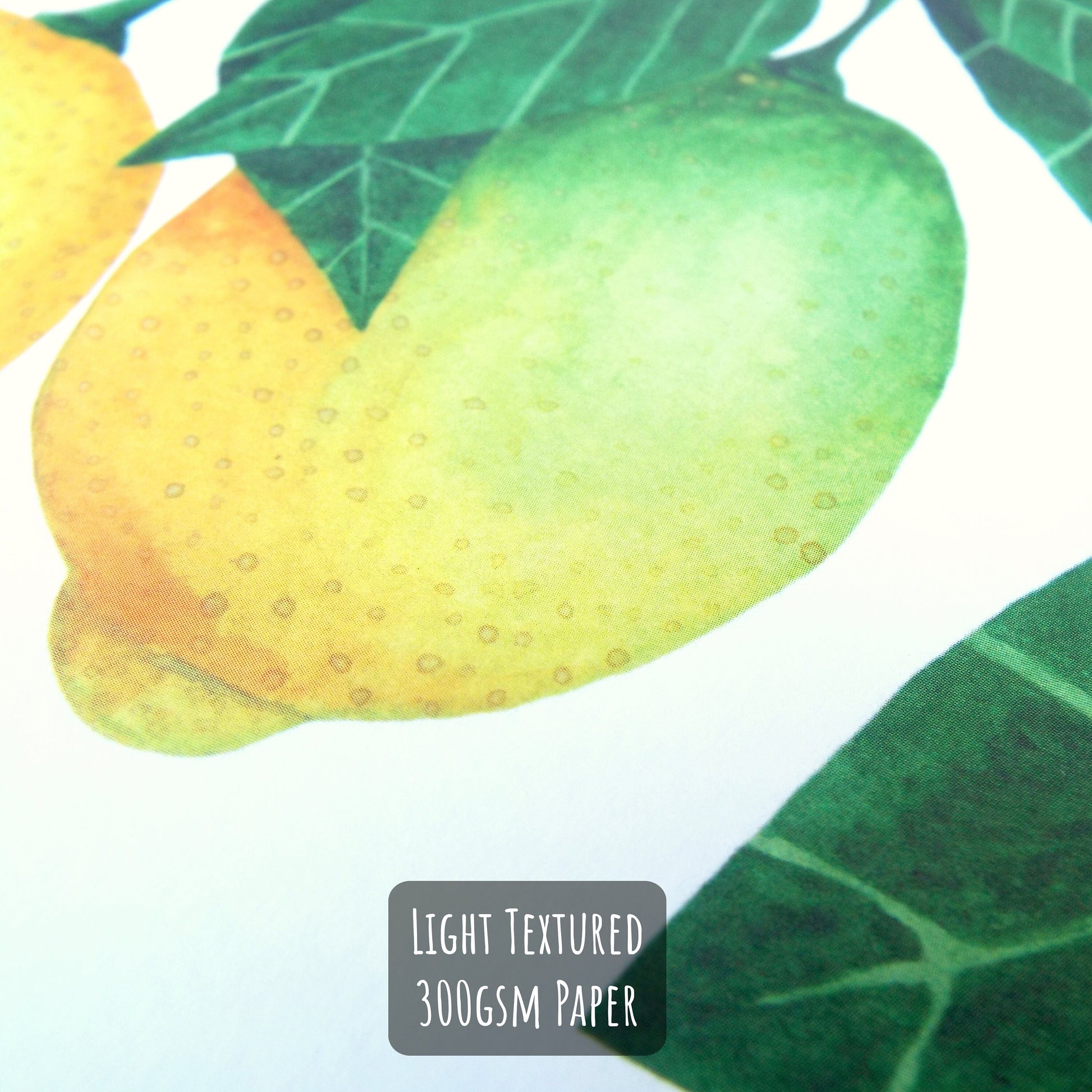 Botanical Lemon Art Print close up showing the details and textures of the illustration and paper stock.