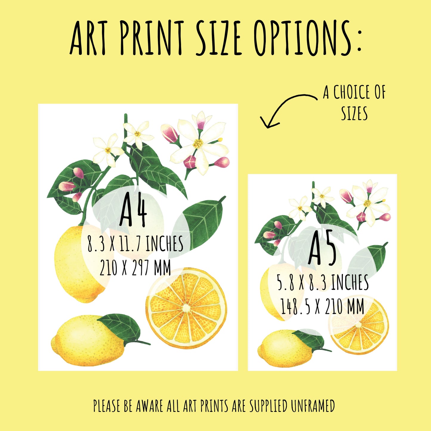 showing the sizes available of the Botanical Lemon Art Print. A4 (210 x 297mm) & A5 (148.5 x 210mm)