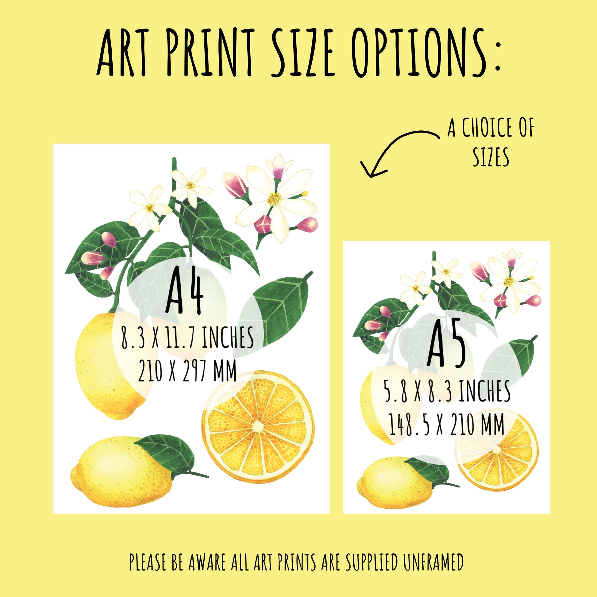 showing the sizes available of the Botanical Lemon Art Print. A4 (210 x 297mm) & A5 (148.5 x 210mm)