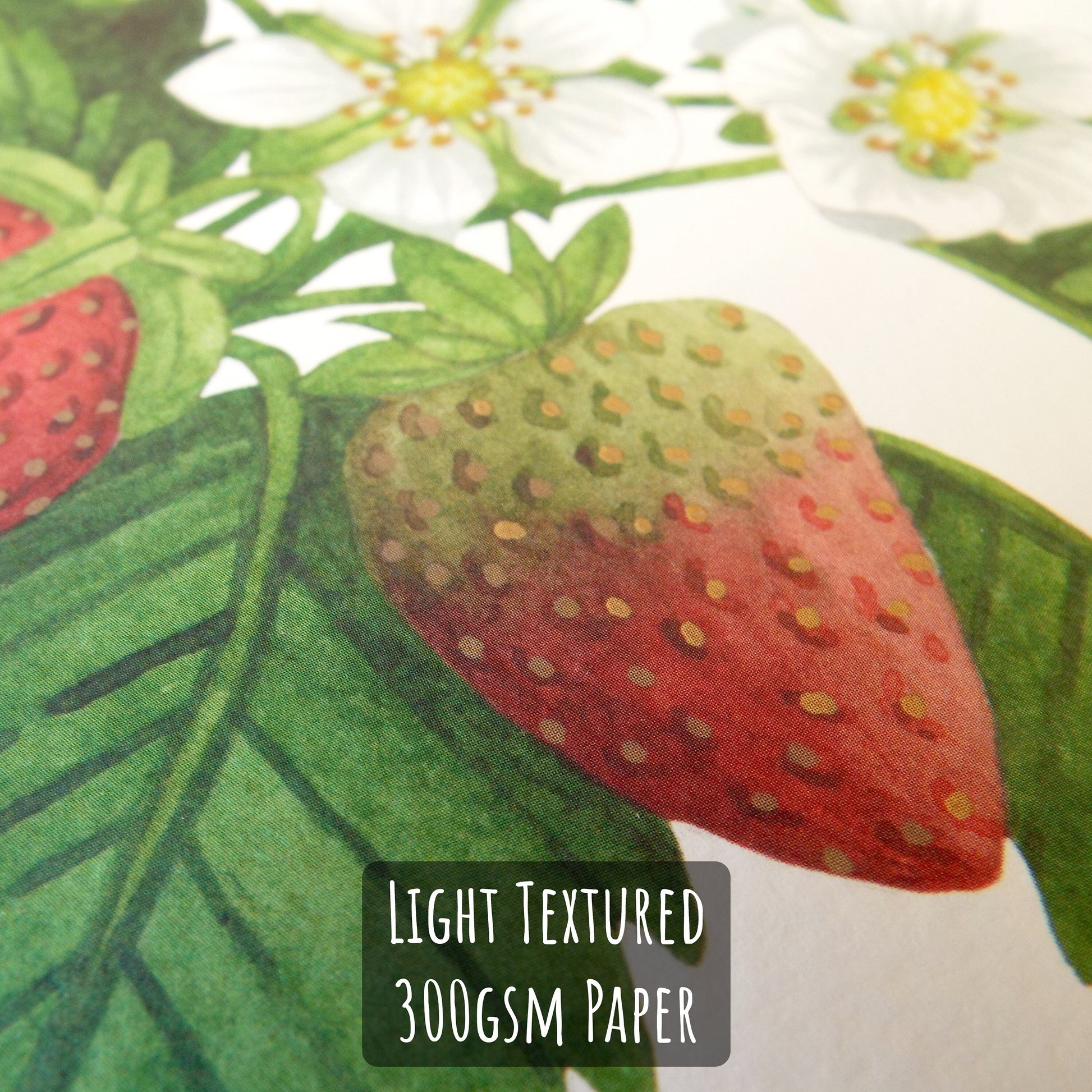 Botanical Strawberry Art Print close up showing the details and textures of the illustration and paper stock.
